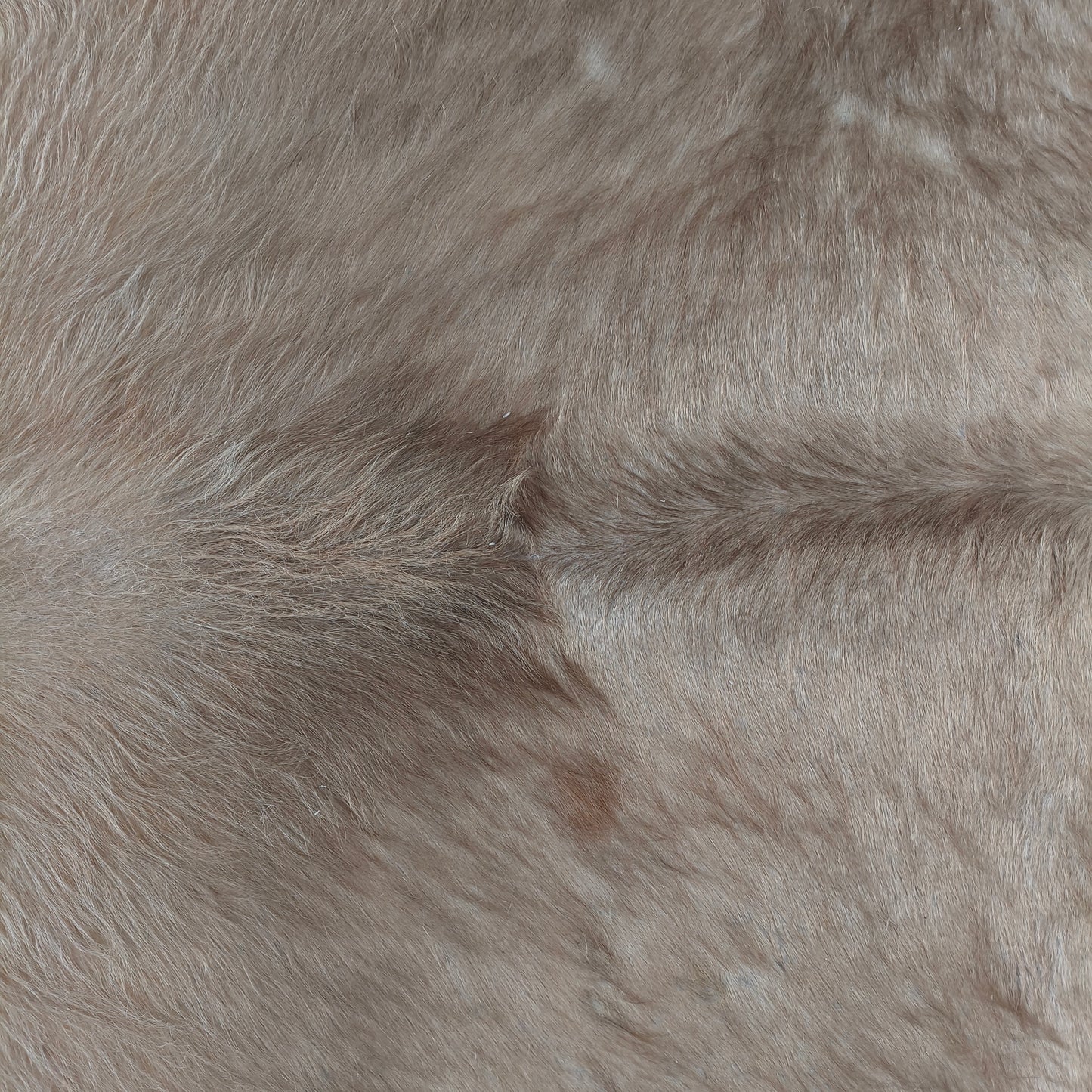 Tapete de couro de boi bege claro brilhoso BC1066 — foto real 2