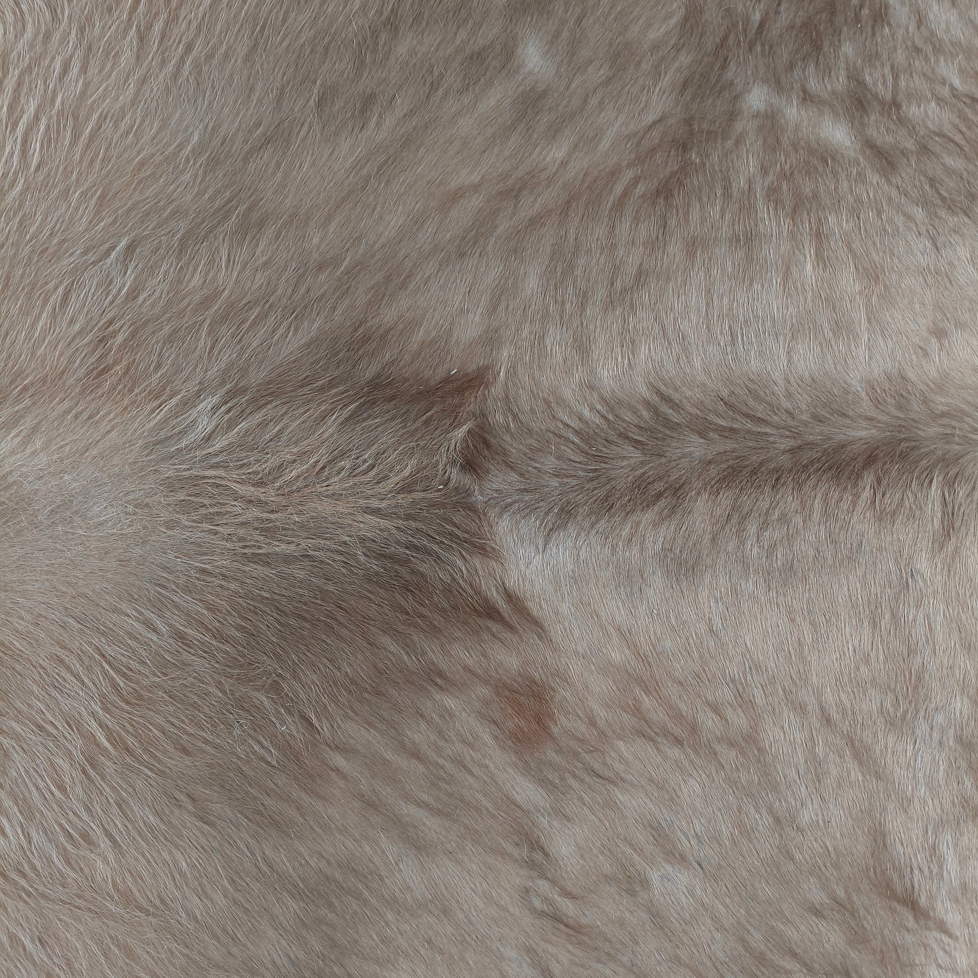 Tapete de couro de boi bege claro brilhoso BC1066 — foto real 2