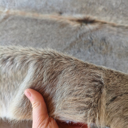 Tapete de couro de boi natural cinza pelo curto macio GR1058 — foto real 3