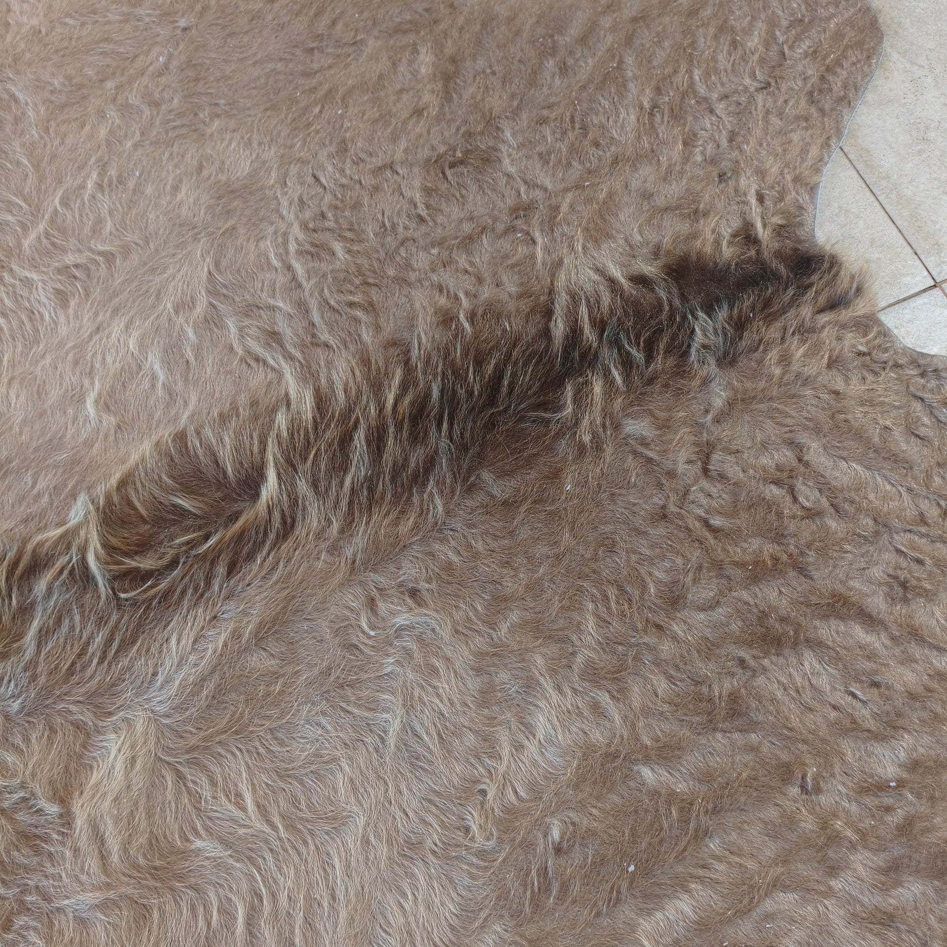 Tapete de couro de boi bege BC996 — foto real 2