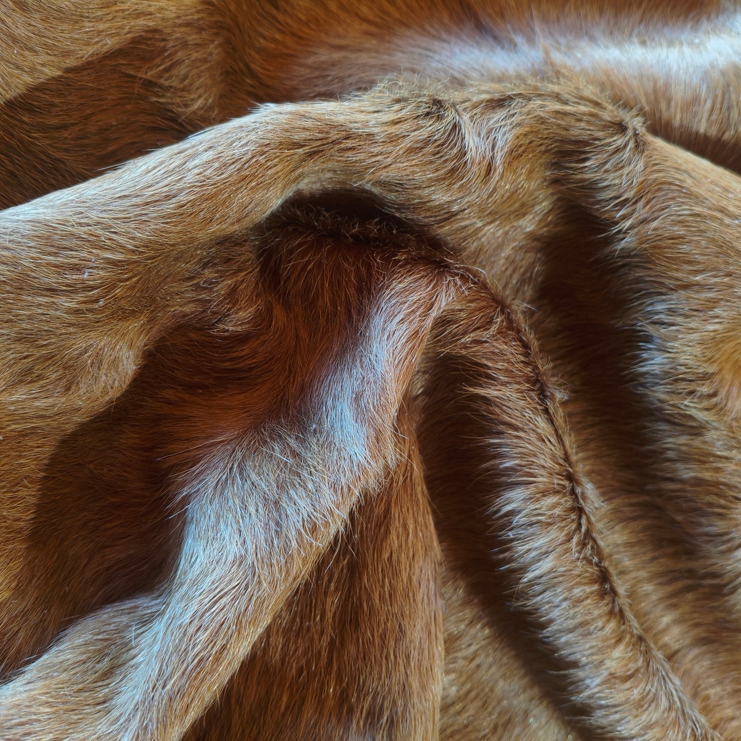 Tapete de couro de boi marrom gold BE977 — foto real 4