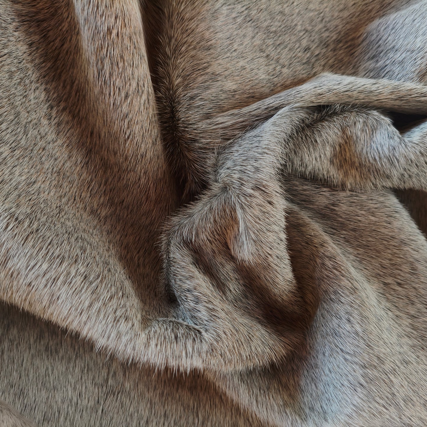 Tapete de couro de boi natural cinza e branco pelo curto macio GR1052 — foto real 4