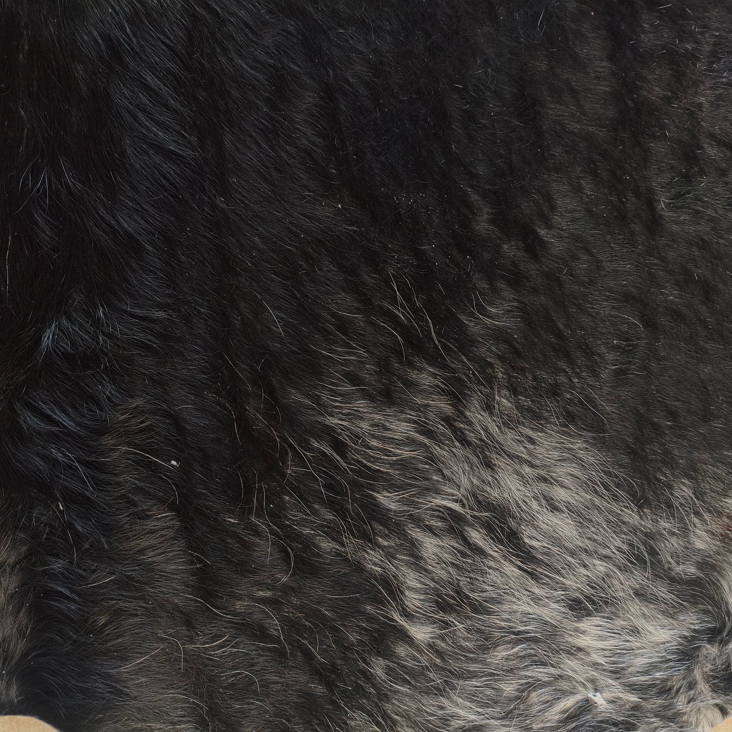 Tapete de couro de boi natural preto e branco pelo alto PB1045 — foto real 2