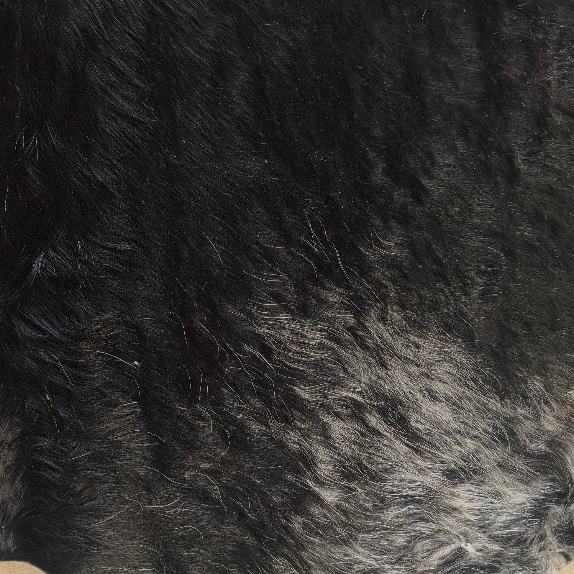 Tapete de couro de boi natural preto e branco pelo alto PB1045 — foto real 2