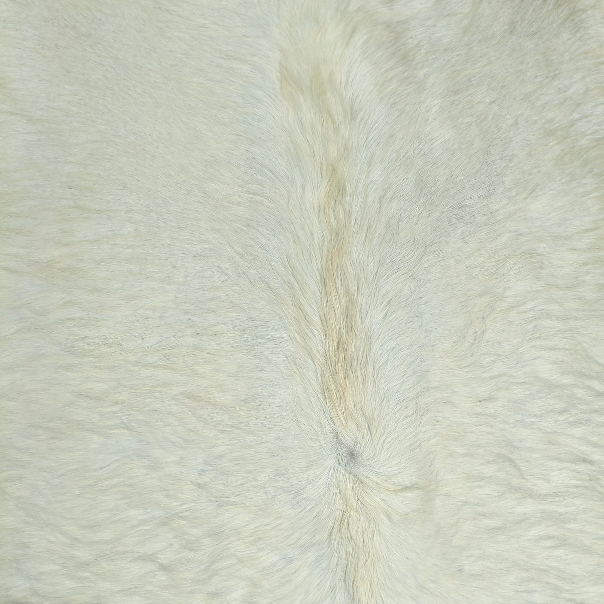 Tapete Bovino Branco Pelo Alto BRA1175 I 1,87x2,05m