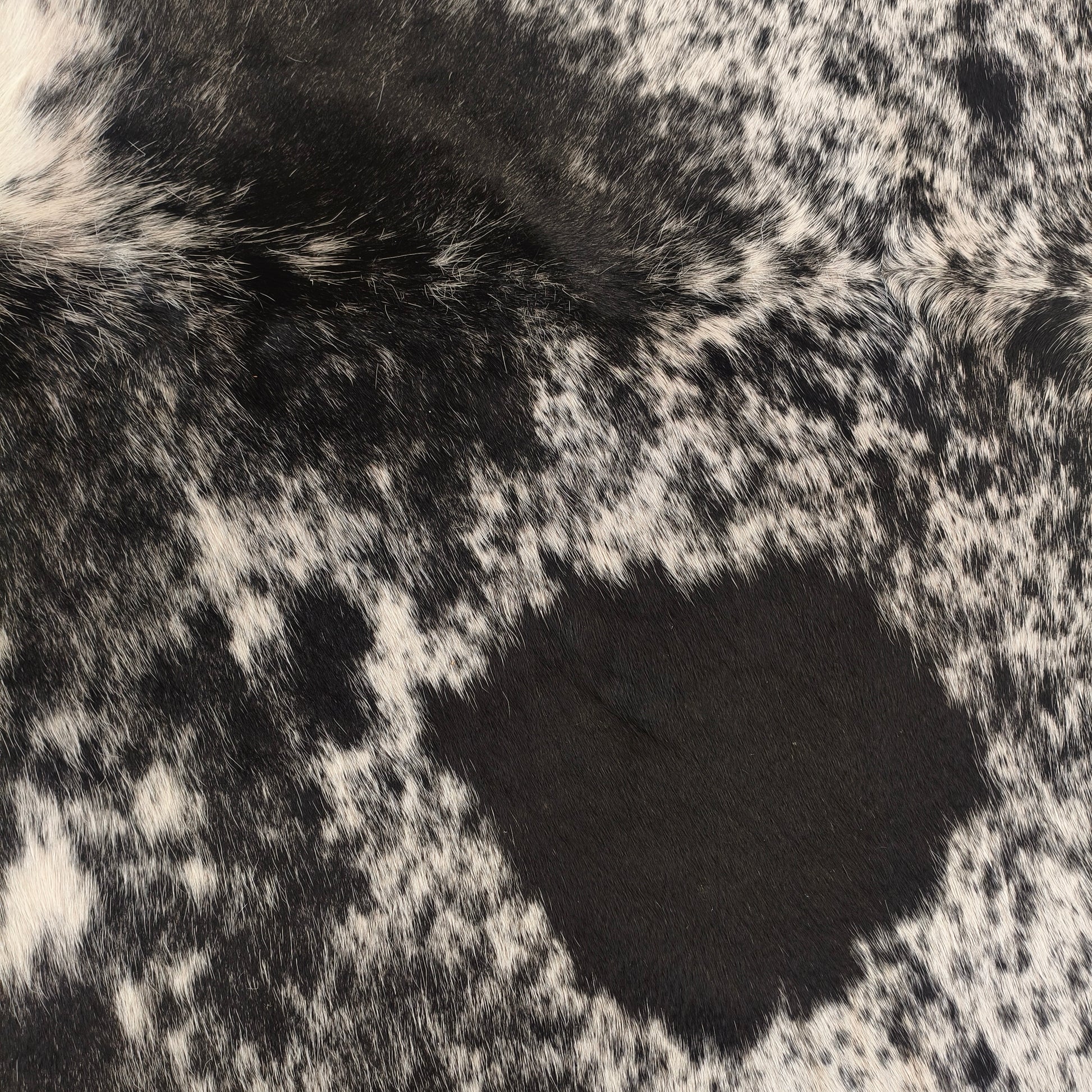 Tapete de couro de boi natural exótico preto e branco EXC1044 — foto real 2