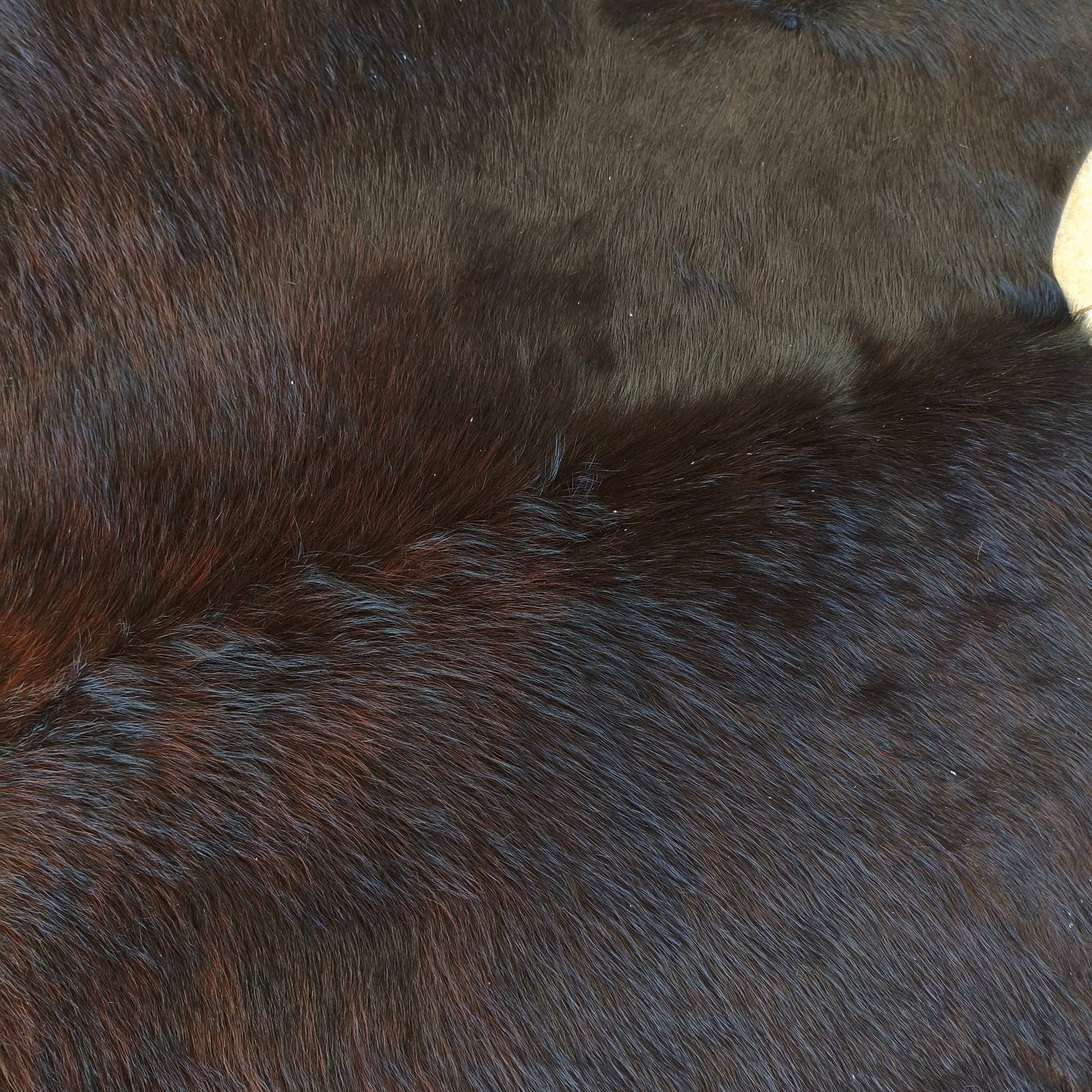Tapete de couro de boi preto e vermelho OSC1028 — foto real 2