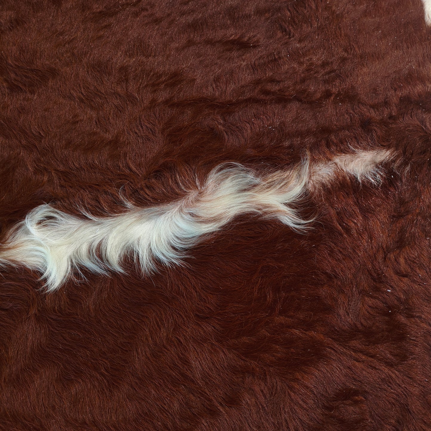 Tapete de couro de boi vermelho e branco pelo alto VB1011 — foto real 2