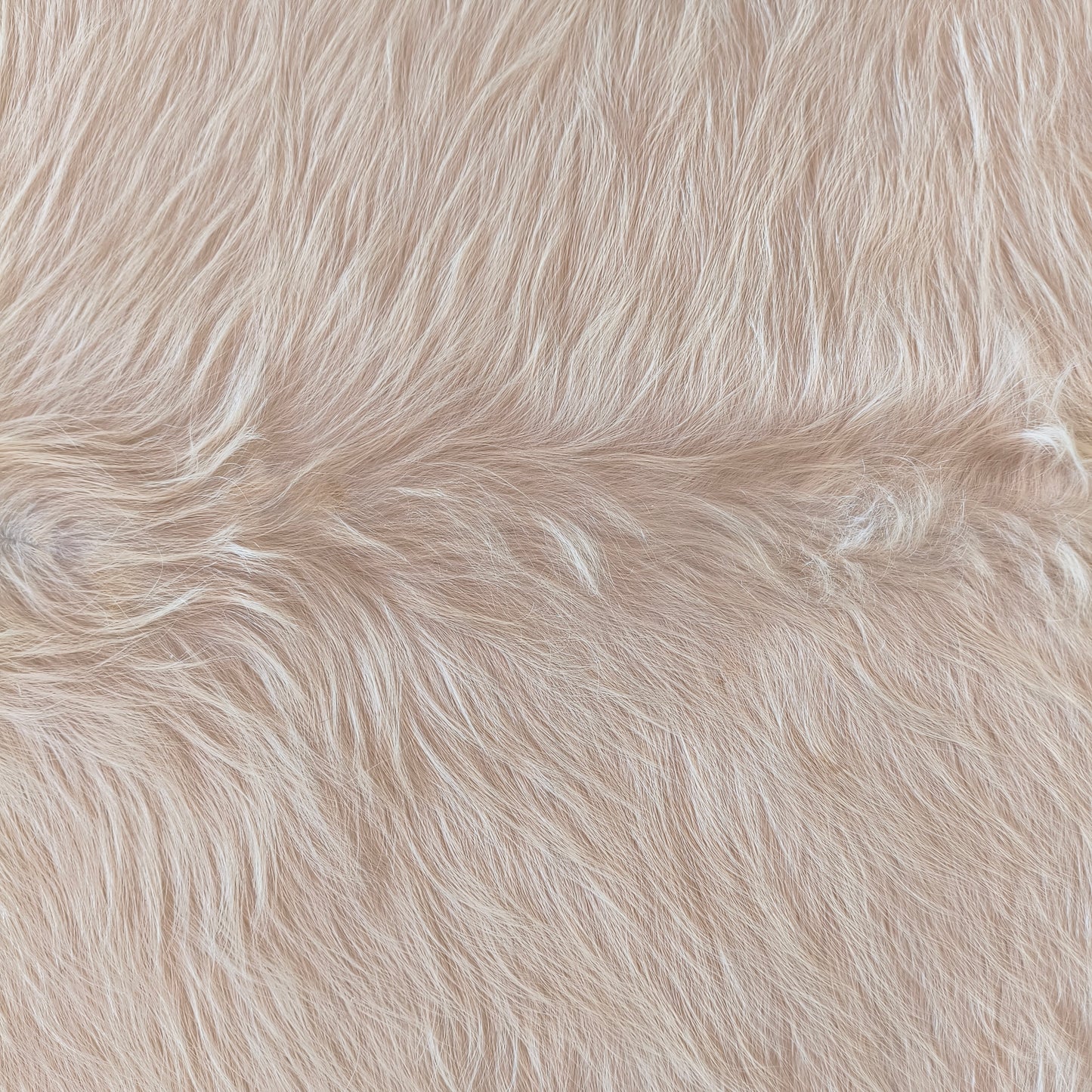 Tapete de couro de boi branco pelo alto BRA1062 — foto real 2