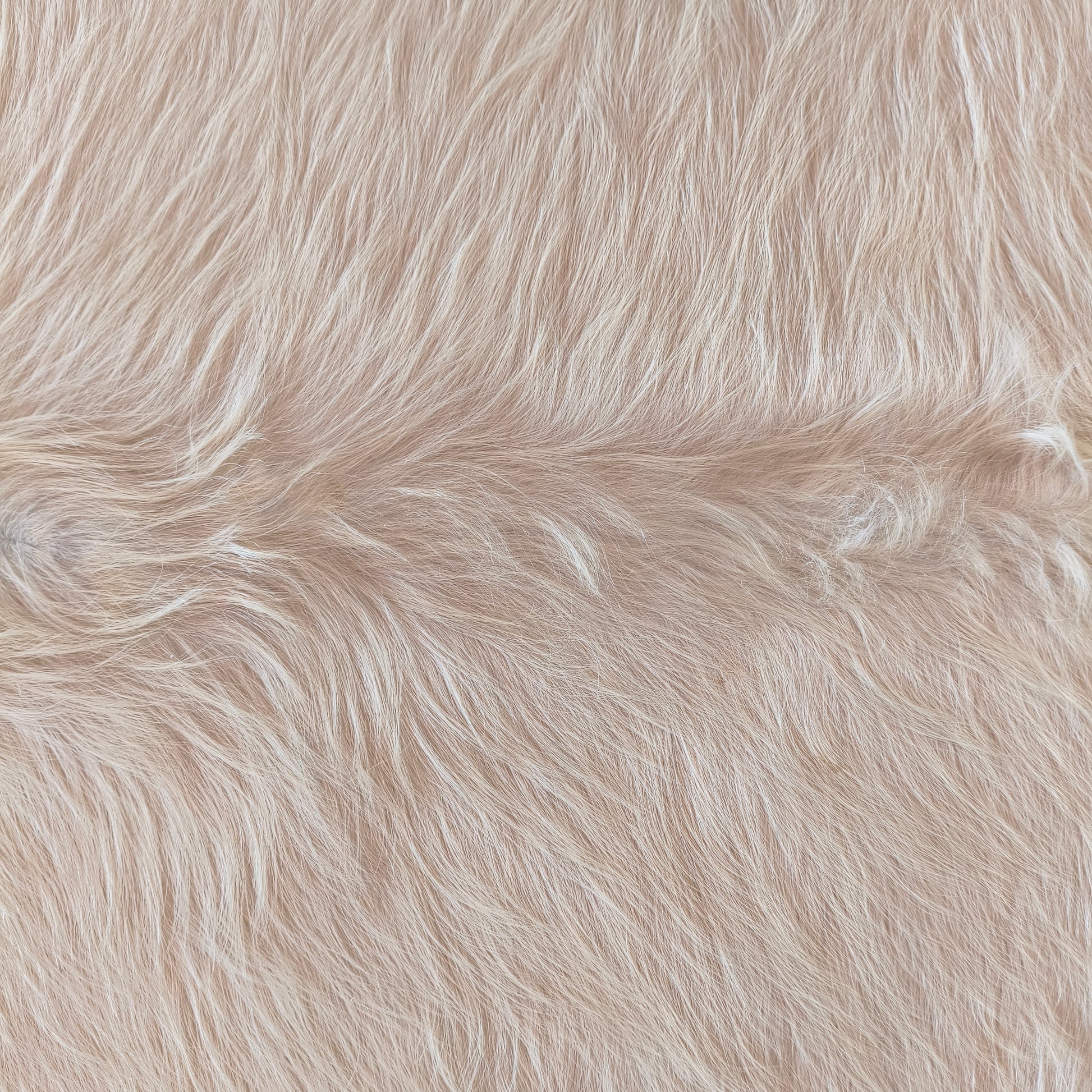 Tapete de couro de boi branco pelo alto BRA1062 — foto real 2