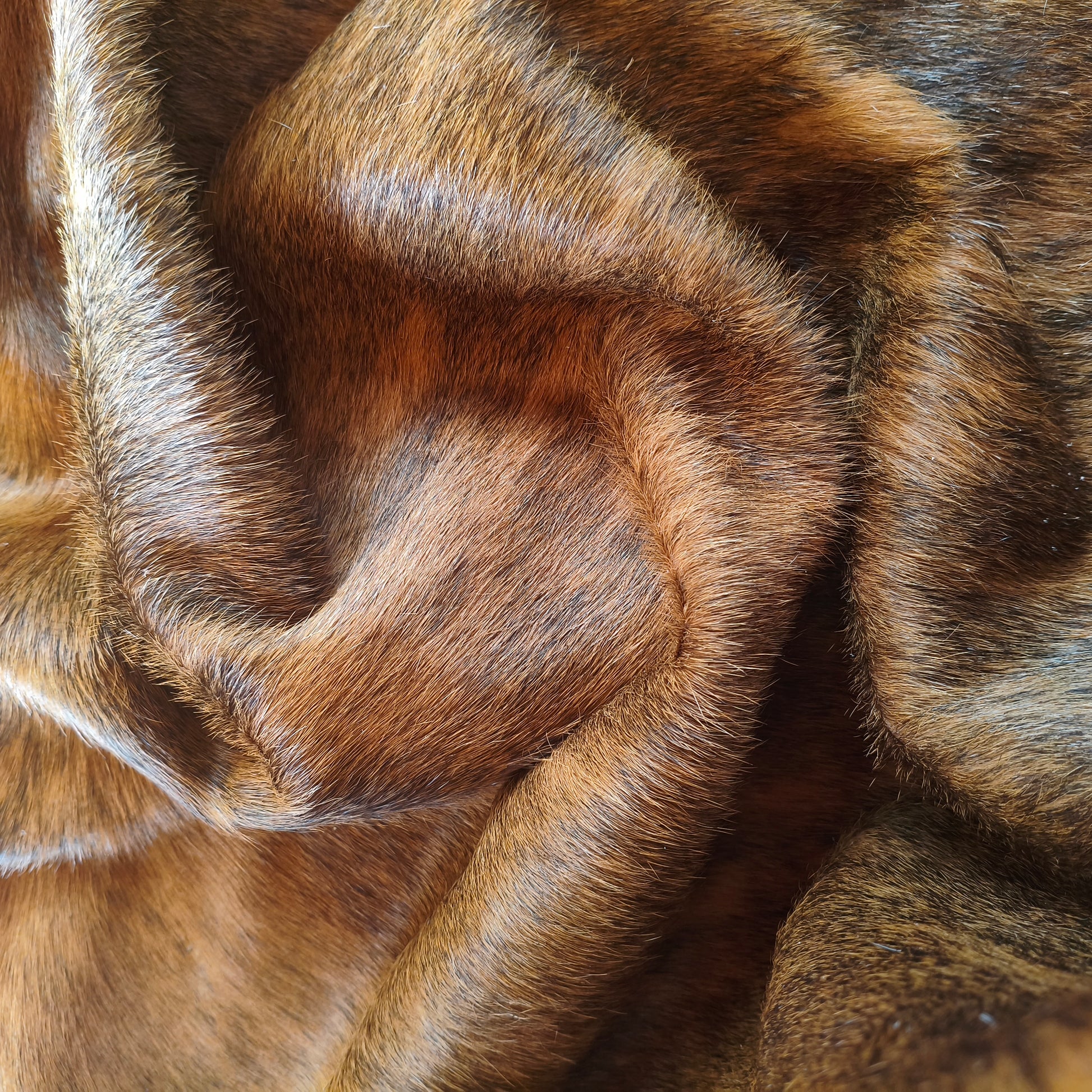 Tapete de couro de boi natural brazino escuro BZE1078 — foto real 7