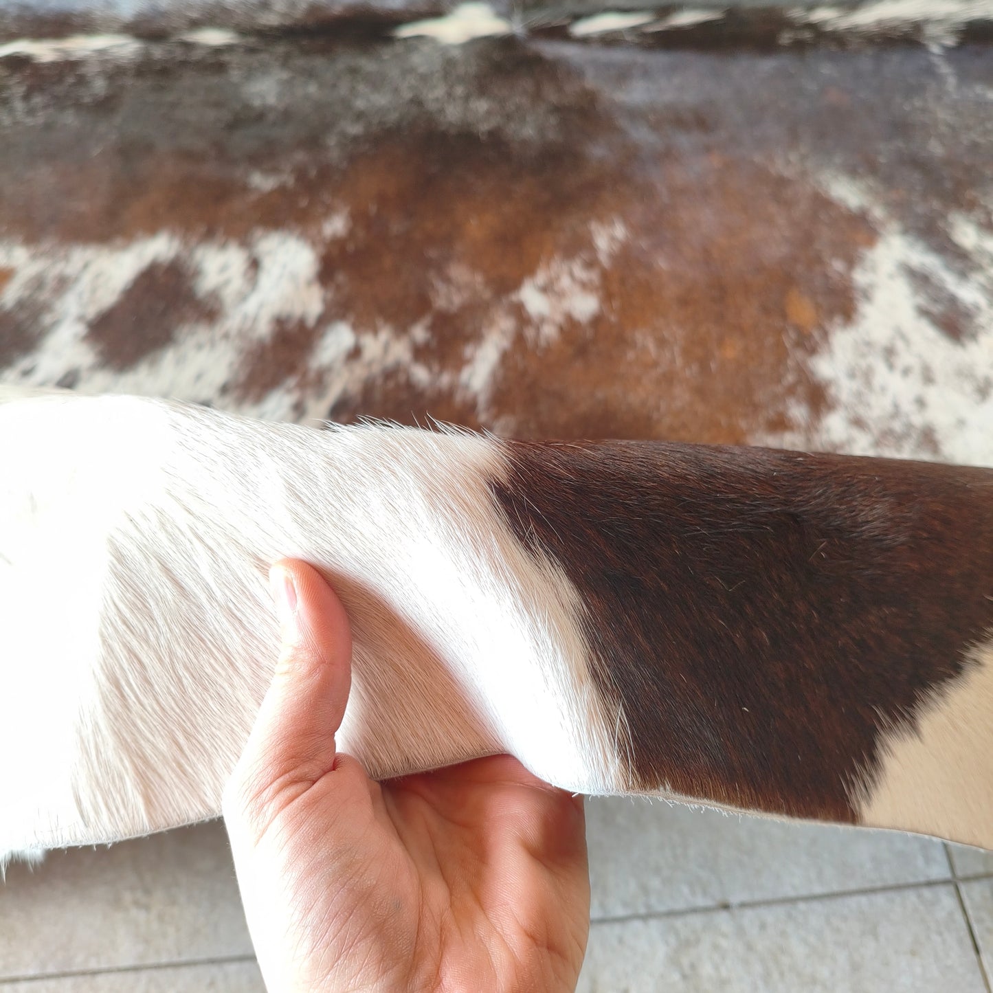 Tapete de couro de boi natural exótico tricolor EXC1073 — foto real 3