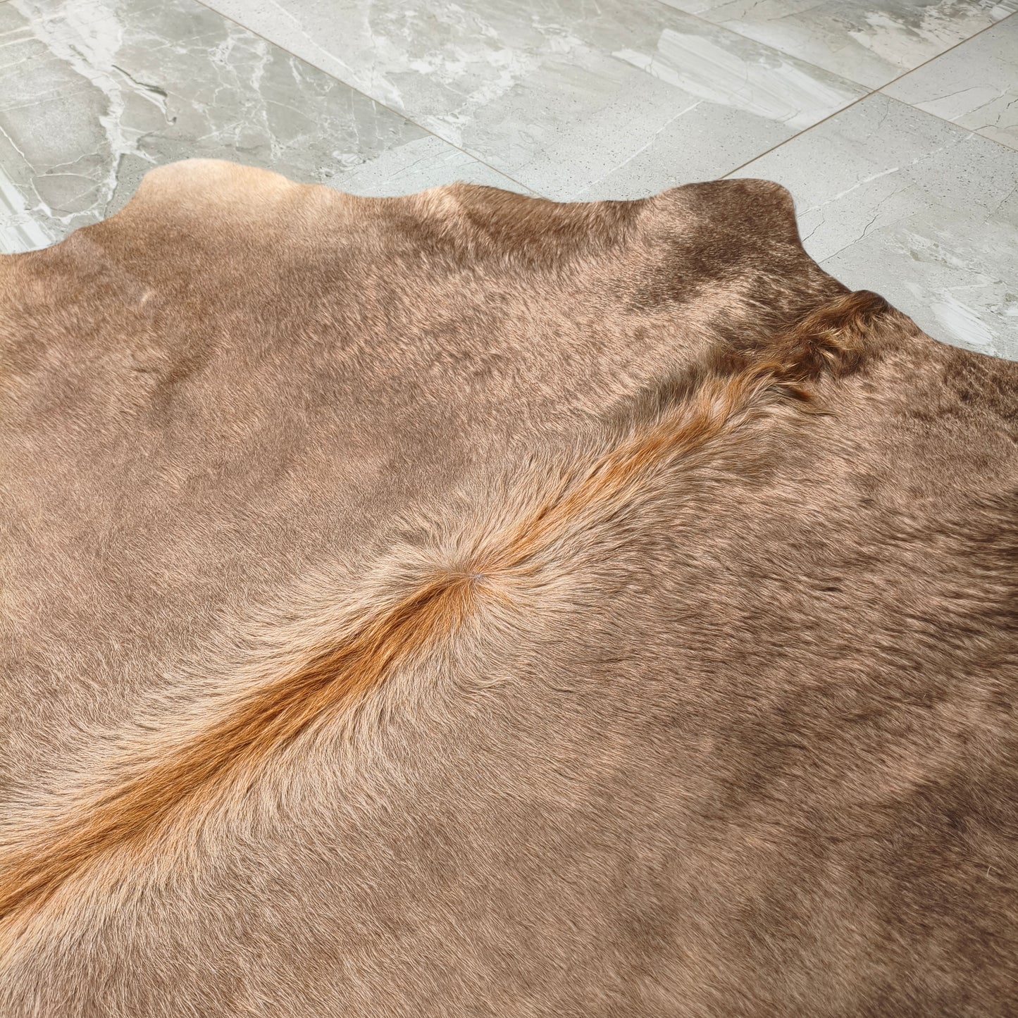 Tapete Bovino Natural Champagne Brilhoso Pelo Alto I CH926 I 1,99x1,93m