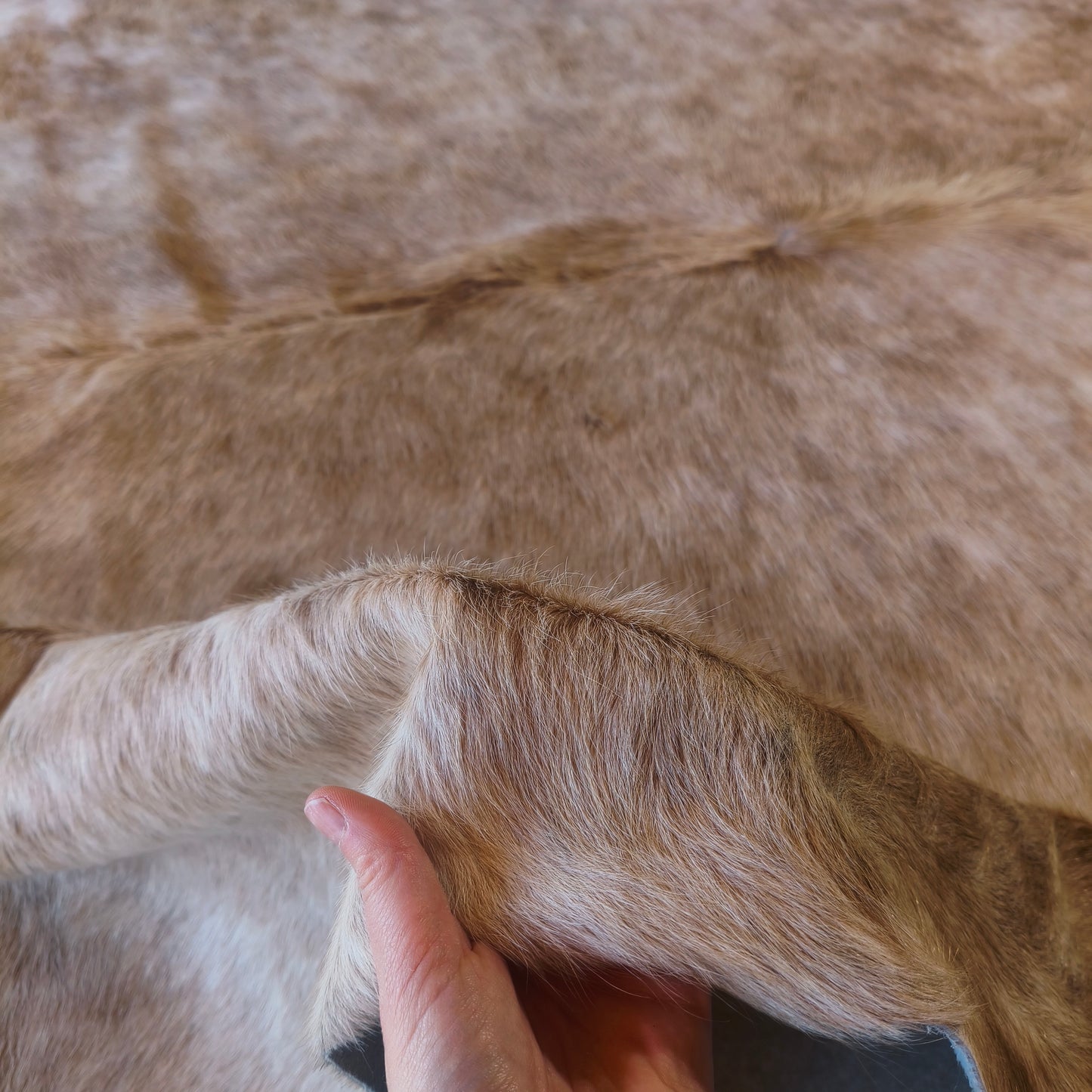 Tapete de couro de boi bege escuro BE960 — foto real 4