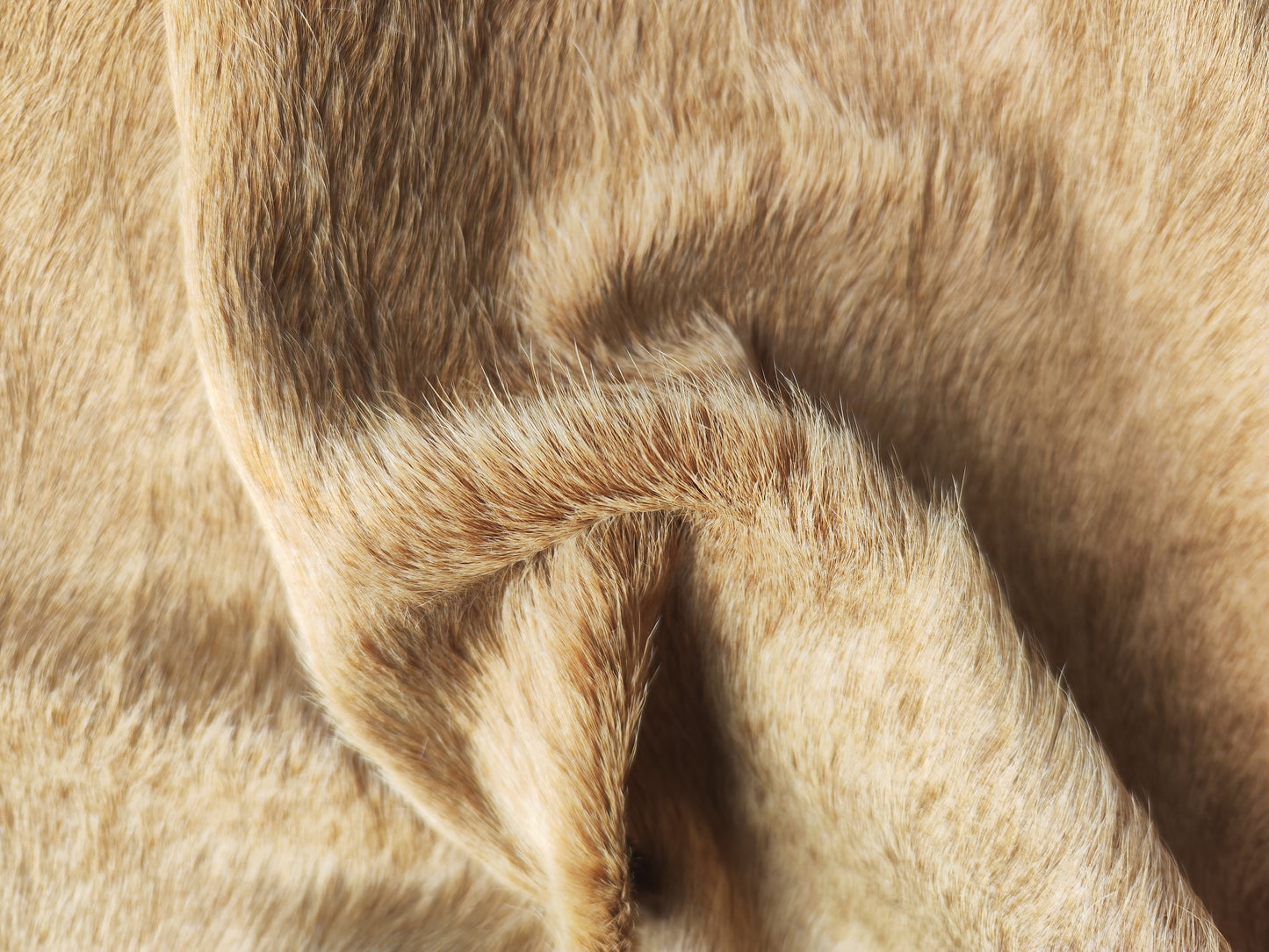 Tapete Bovino Natural Bege Claro I BC804 I 1,92x193m