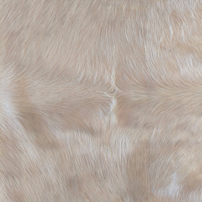Tapete de couro de boi branco e dourado pelo curto BRA1055 — foto real 2