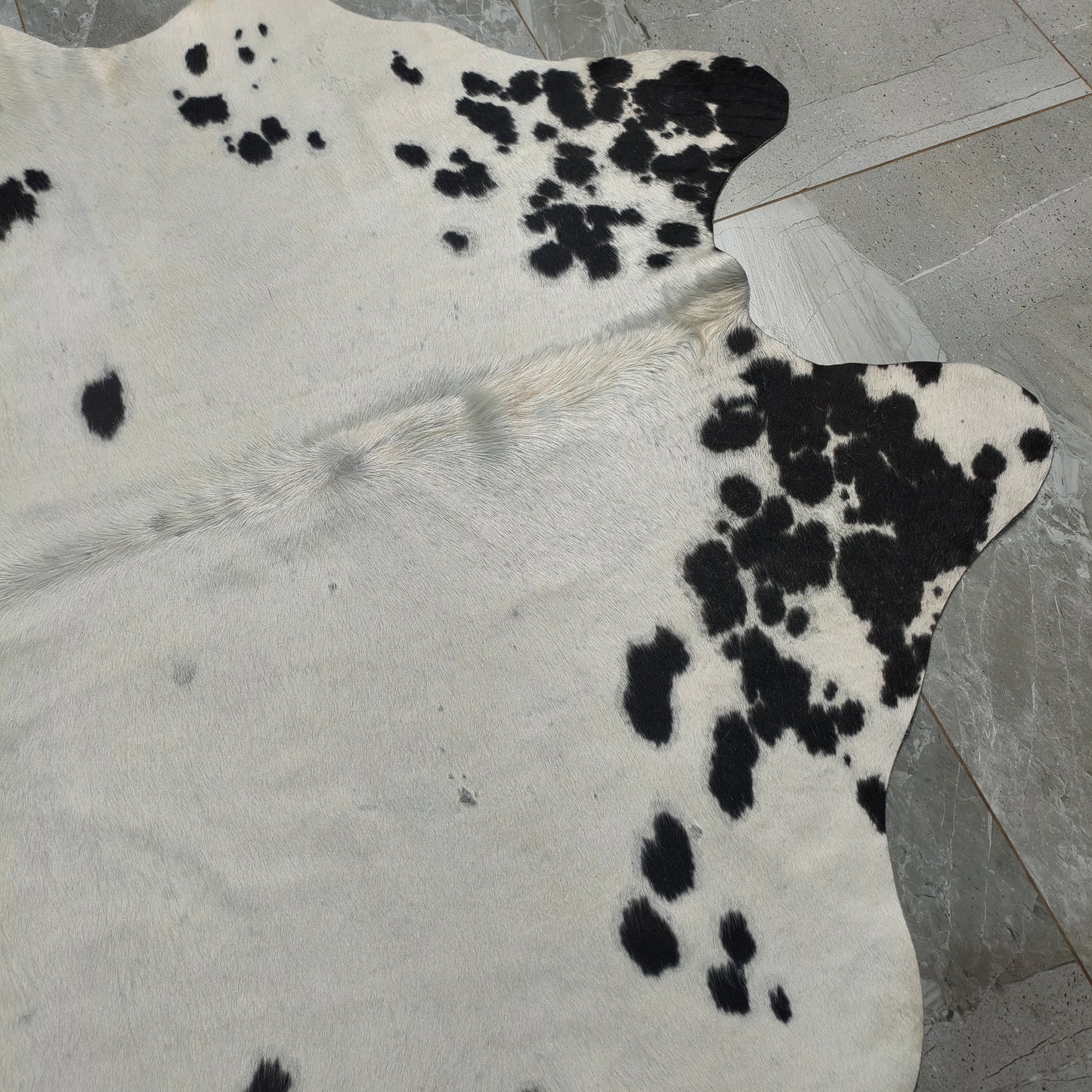 Tapete Bovino Natural Preto e Branco Pelo Curto I PB946 I 1,75x1,55m