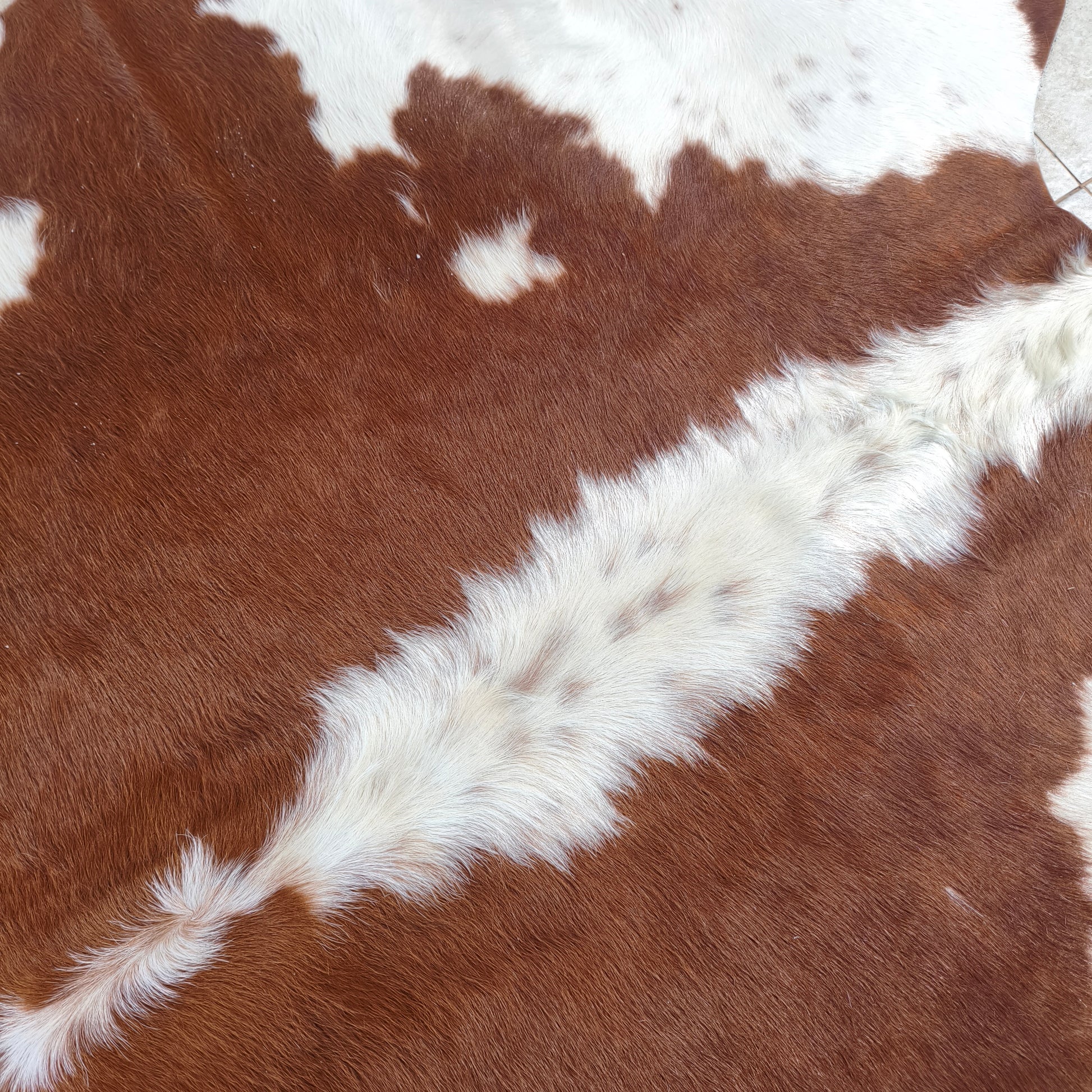 Tapete de couro de boi vermelho e branco VB1007 — foto real 2