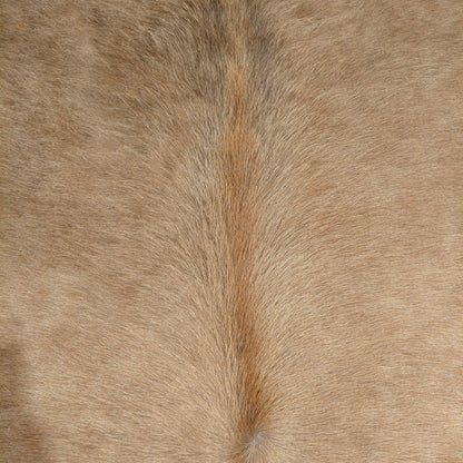 Tapete Bovino Bege e Branco Pelo Curto I BB1130 I 2,02x1,97m