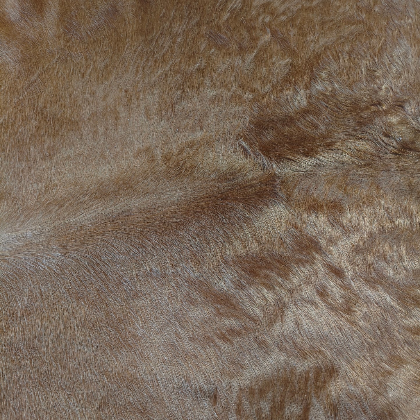 Tapete de couro de boi marrom gold BC994 — foto real 2