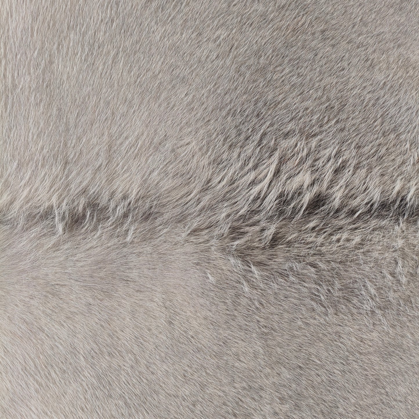 Tapete de couro de boi natural cinza e branco pelo curto macio GR1049 — foto real 2