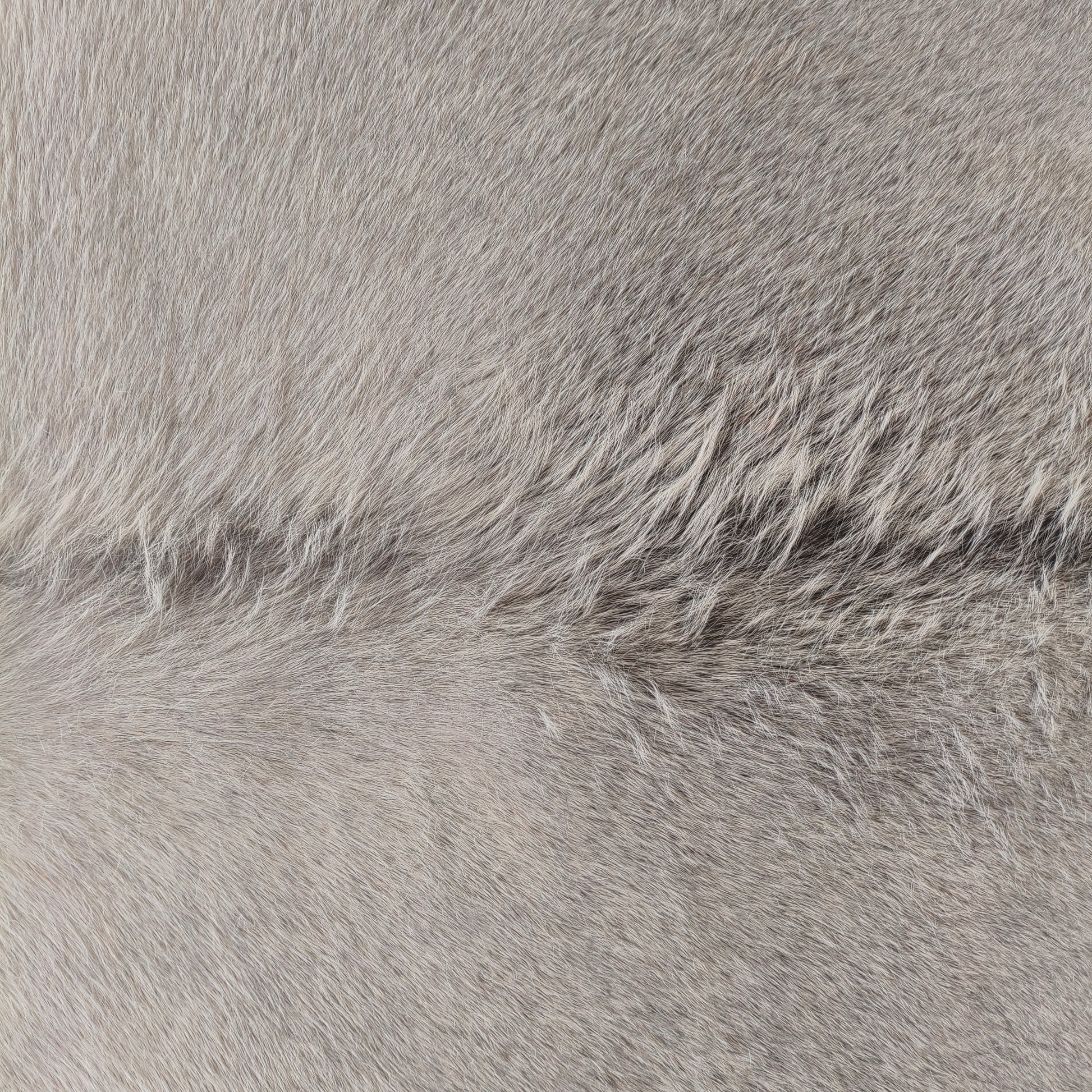 Tapete de couro de boi natural cinza e branco pelo curto macio GR1049 — foto real 2