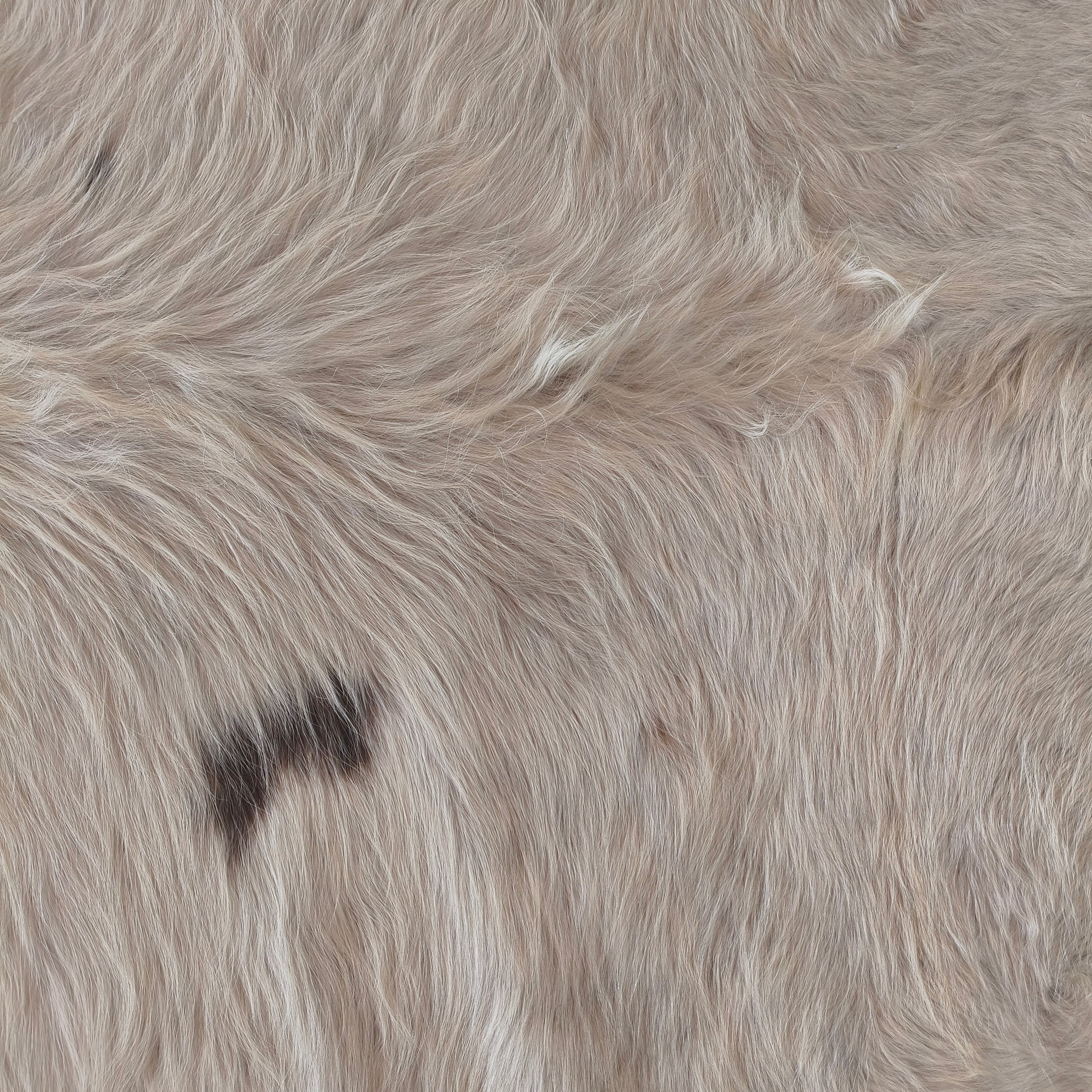 Tapete de couro de boi branco sedoso pelo alto BRA1064 — foto real 2