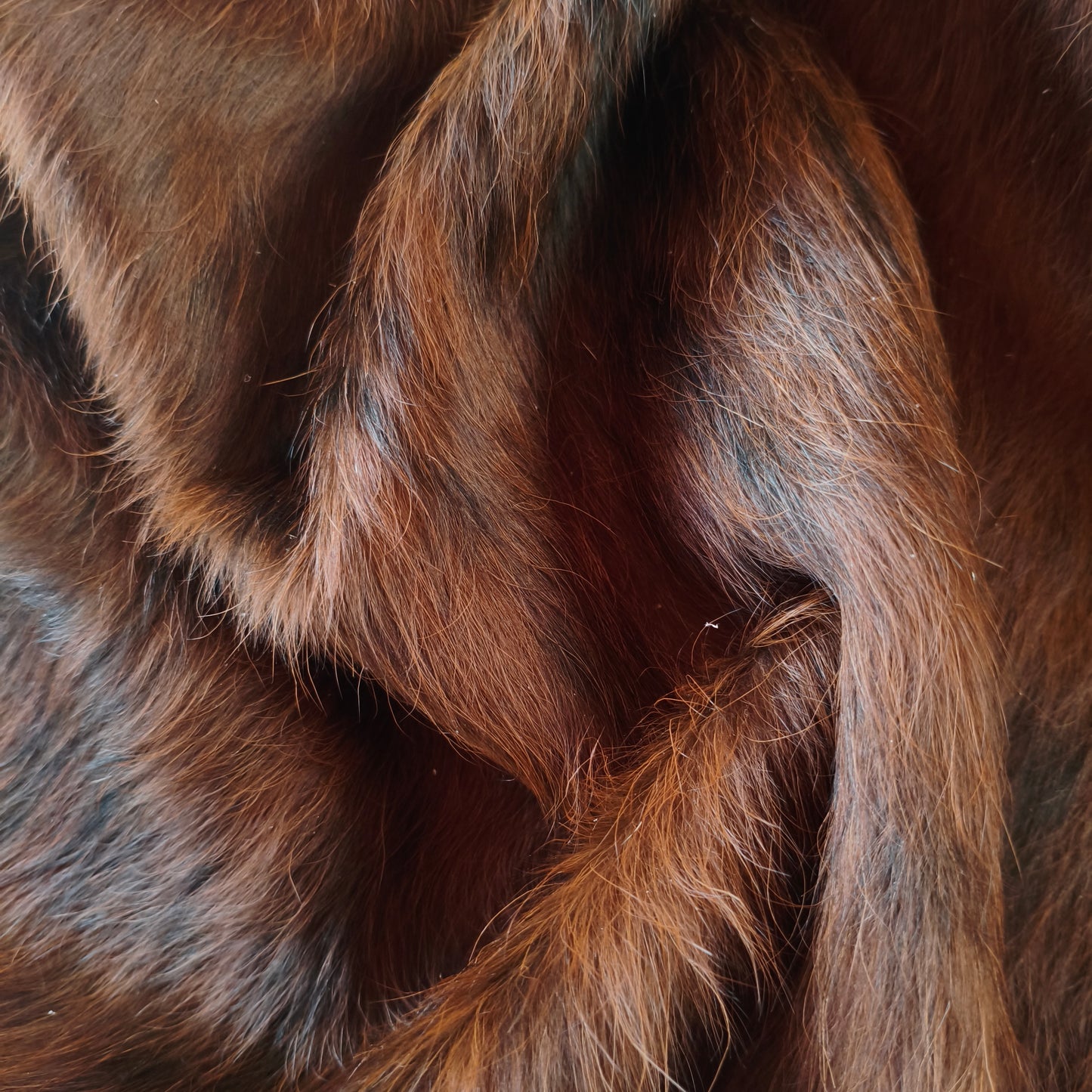 Tapete de couro de boi natural brazino escuro BZE1076 — foto real 4