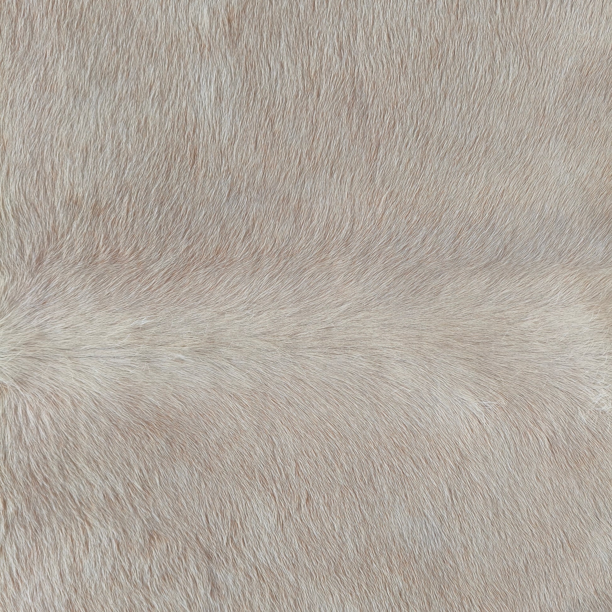 Tapete de couro de boi bege claro sedoso pelo curto BC1051 — foto real 2