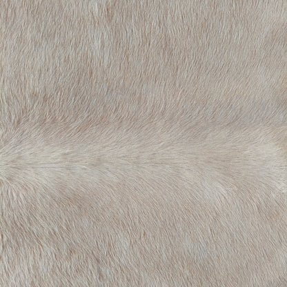 Tapete de couro de boi bege claro sedoso pelo curto BC1051 — foto real 2