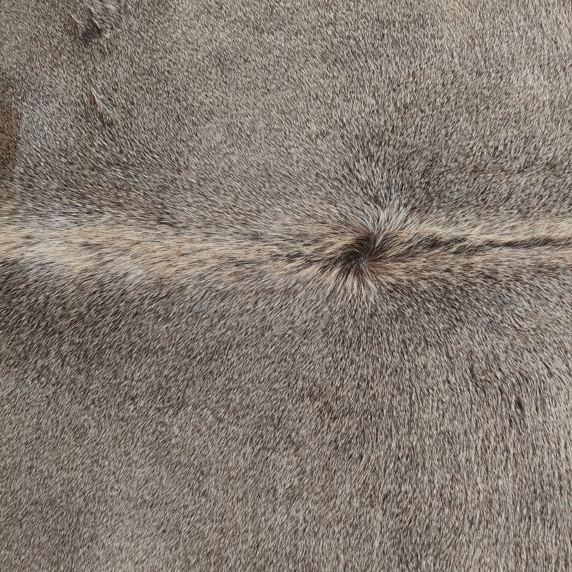 Tapete de couro de boi natural cinza e branco pelo curto macio GR1036 — foto real 2
