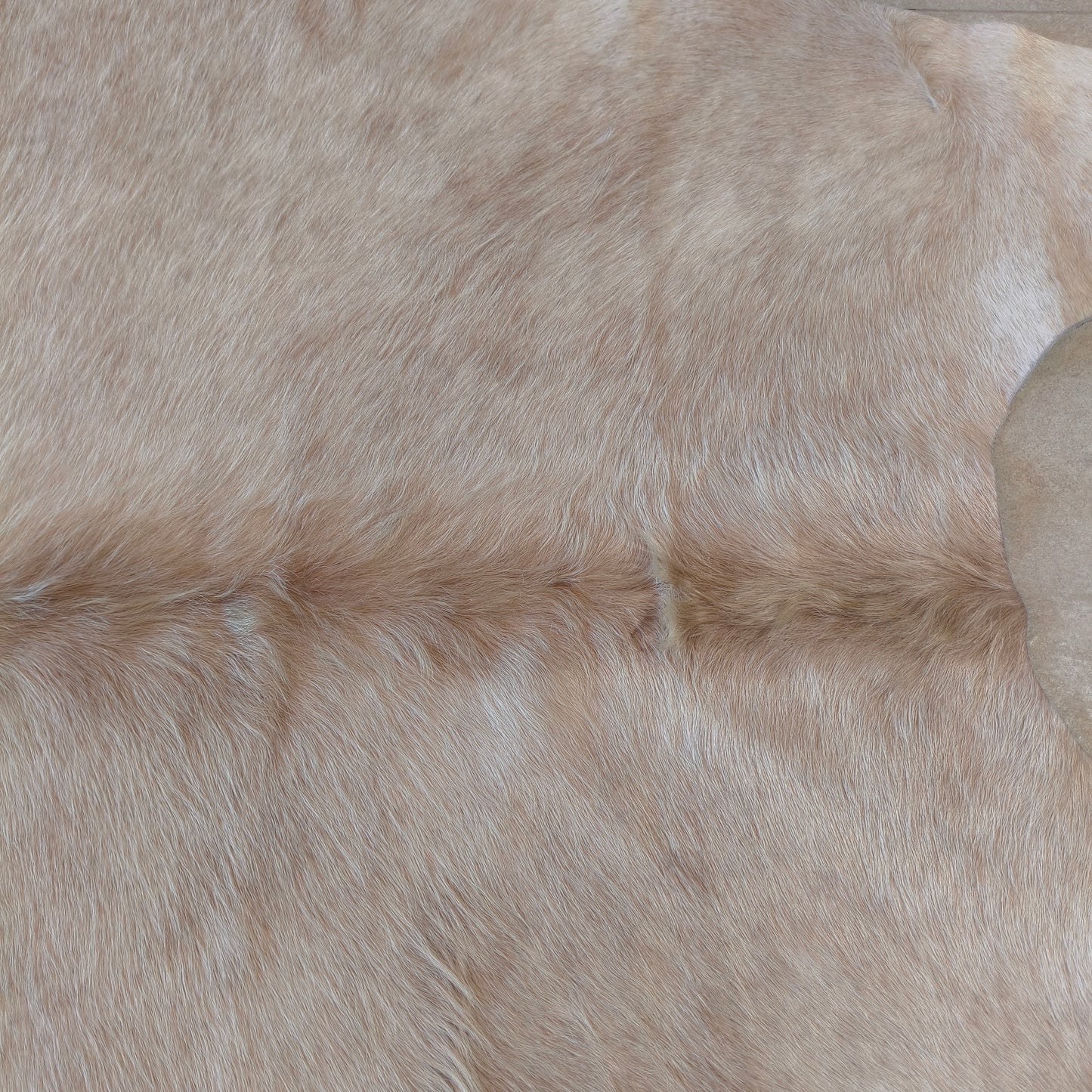 Tapete de couro de boi bege claro BE962 — foto real 2