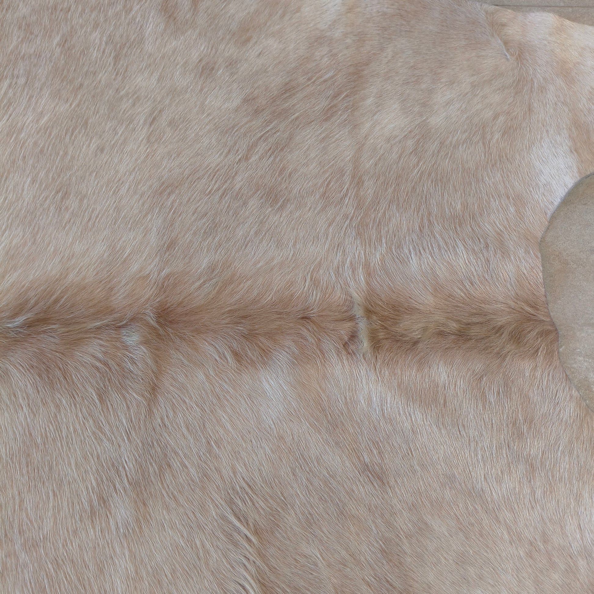 Tapete de couro de boi bege claro BE962 — foto real 2