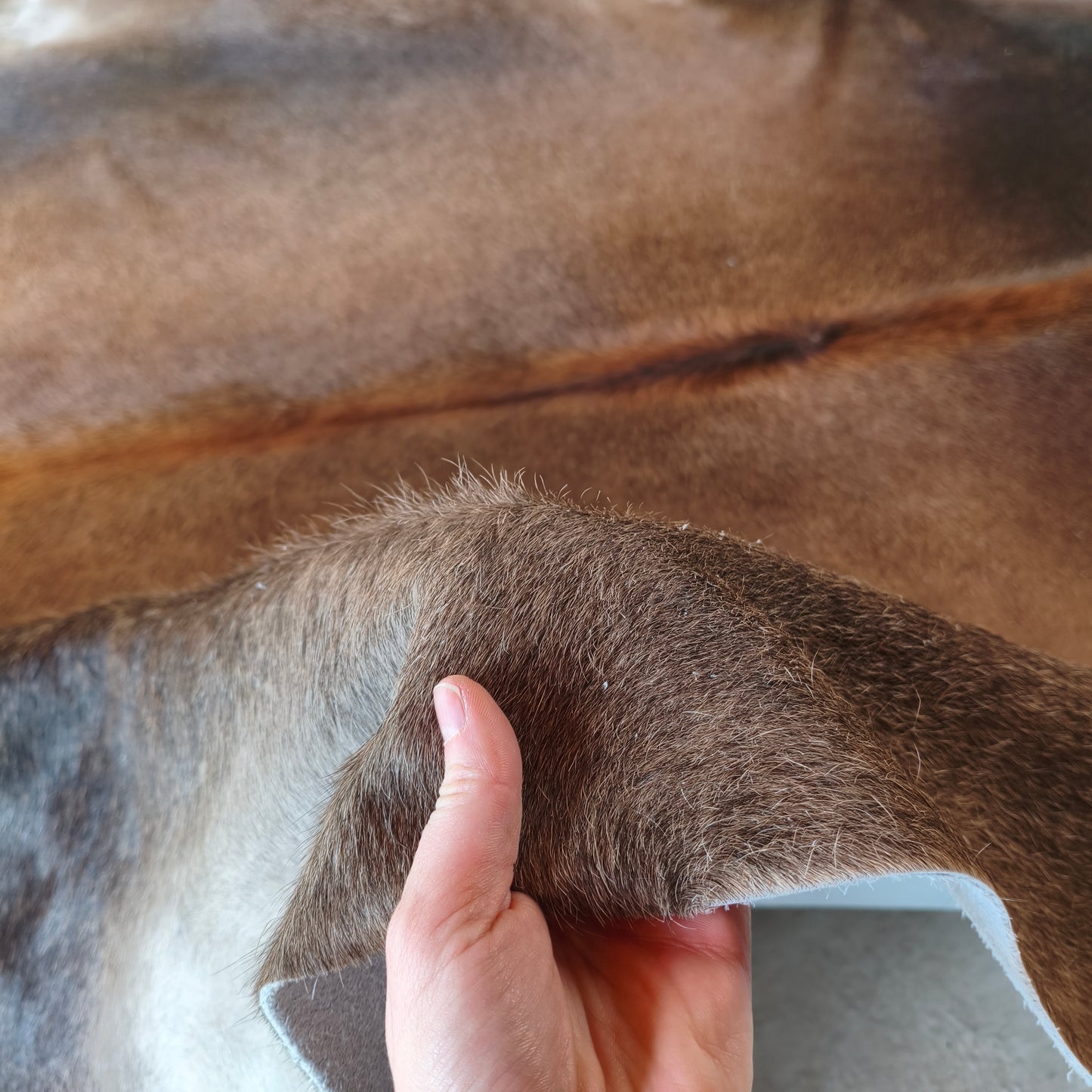 Tapete de couro de boi bege escuro OSC1023 — foto real 3