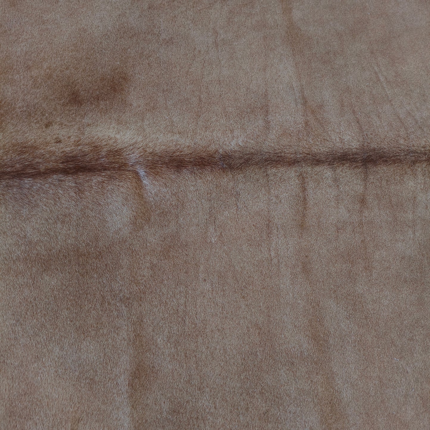 Tapete de couro de boi bege claro BC964 — foto real 4