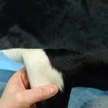 Mão levantando a borda do tapete PB1326, no encontro entre o pelo branco e o preto