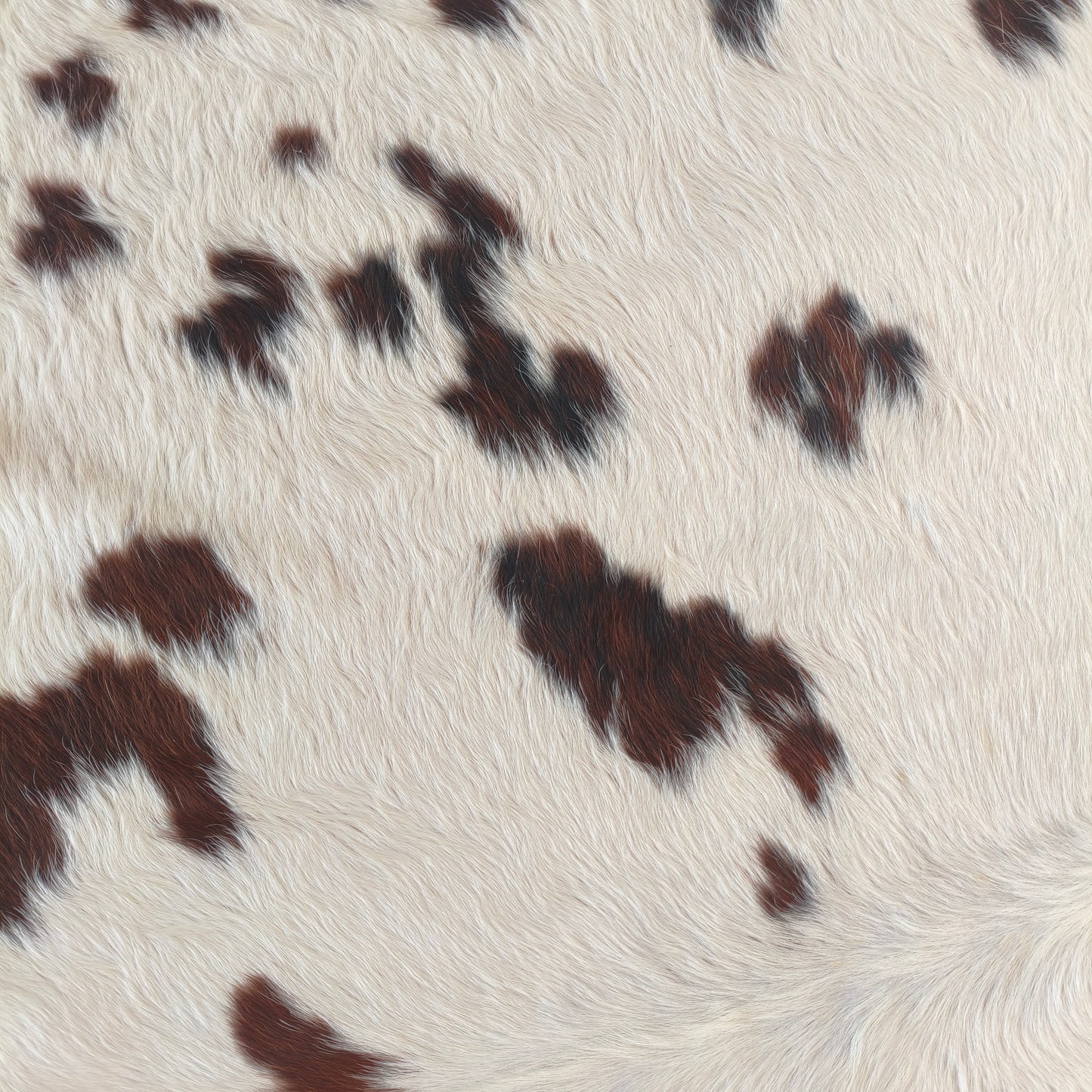 Tapete de couro de boi natural exótico marrom e branco EXC1042 — foto real 2