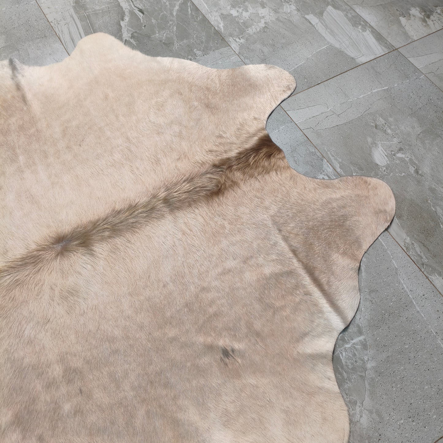 Tapete Bovino Natural Champagne Claro Linha Premium Brilhoso I CH920 I 1,88x1,53