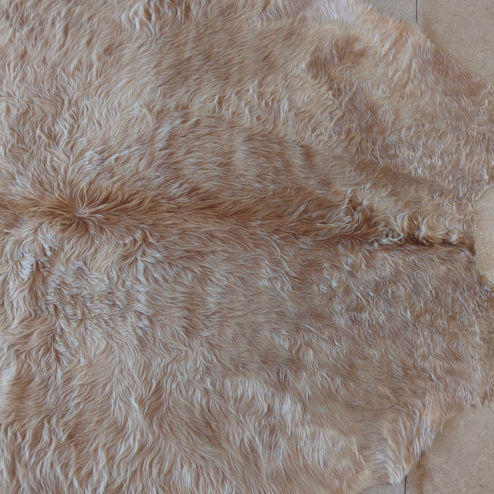 Tapete de couro de boi bege claro BE961 — foto real 2