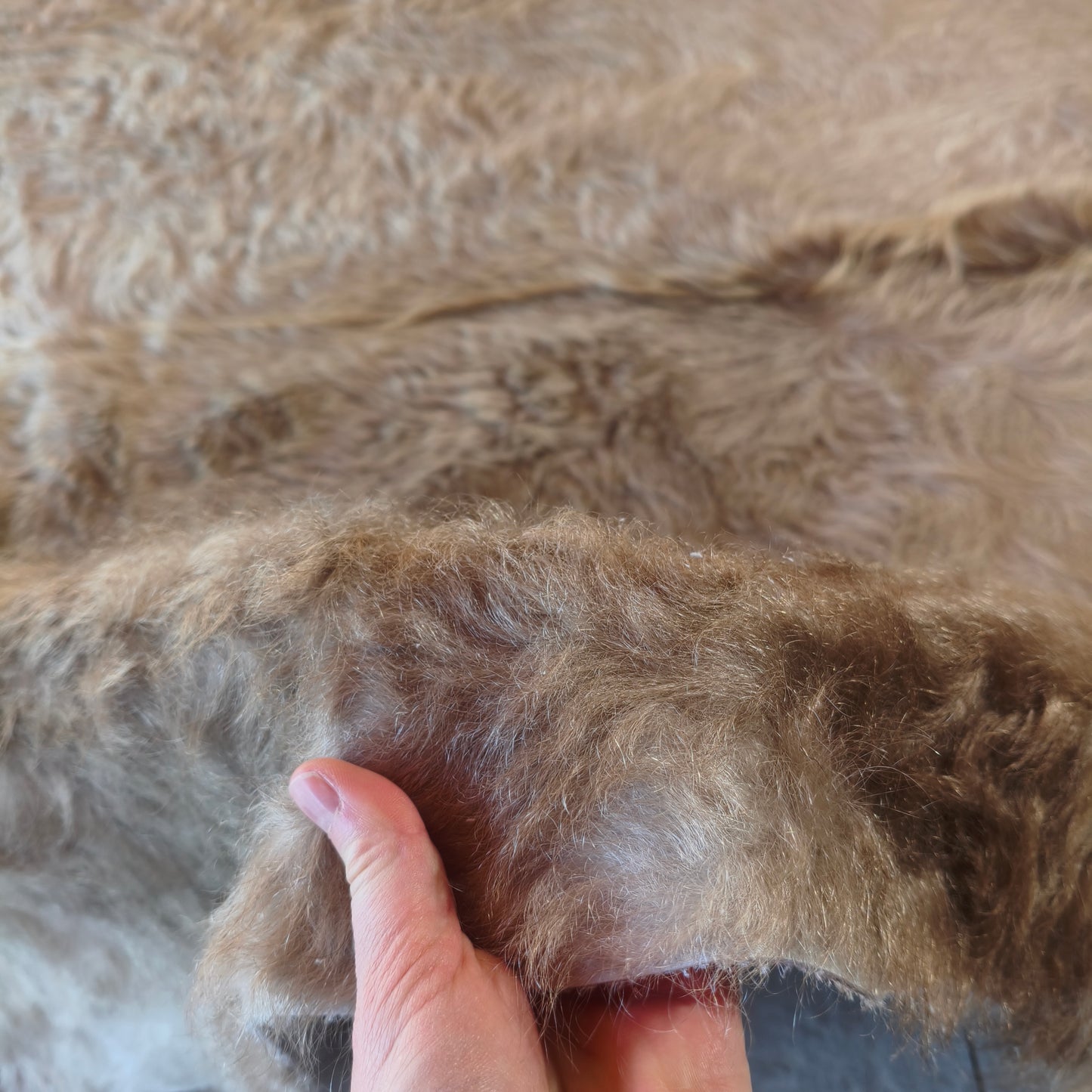 Tapete de couro de boi bege BC996 — foto real 3