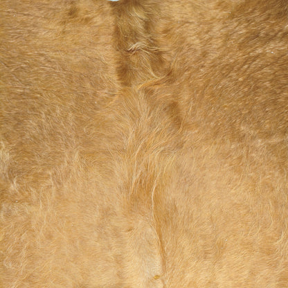 Textura do pelo dourado do tapete bovino bege escuro BE1333