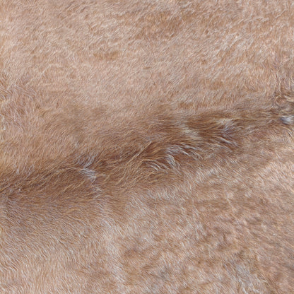 Tapete de couro de boi marrom gold BE977 — foto real 2