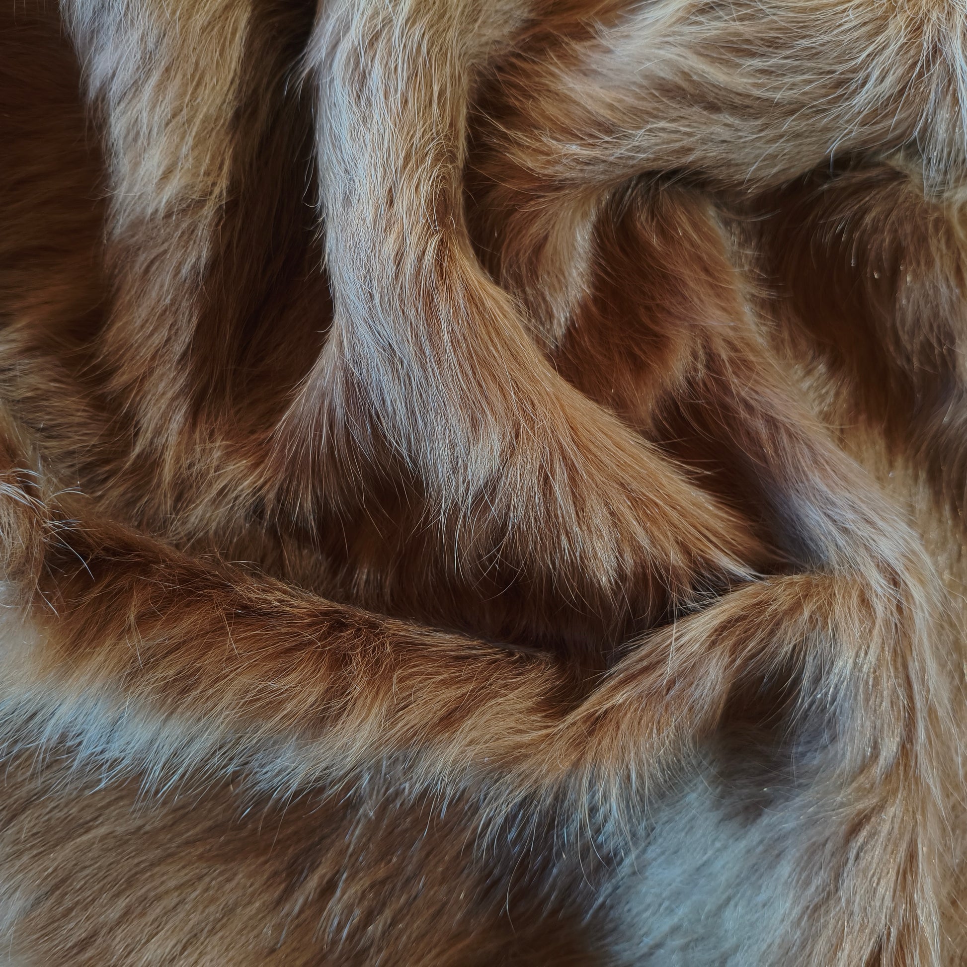 Tapete de couro de boi marrom gold BC991 — foto real 4