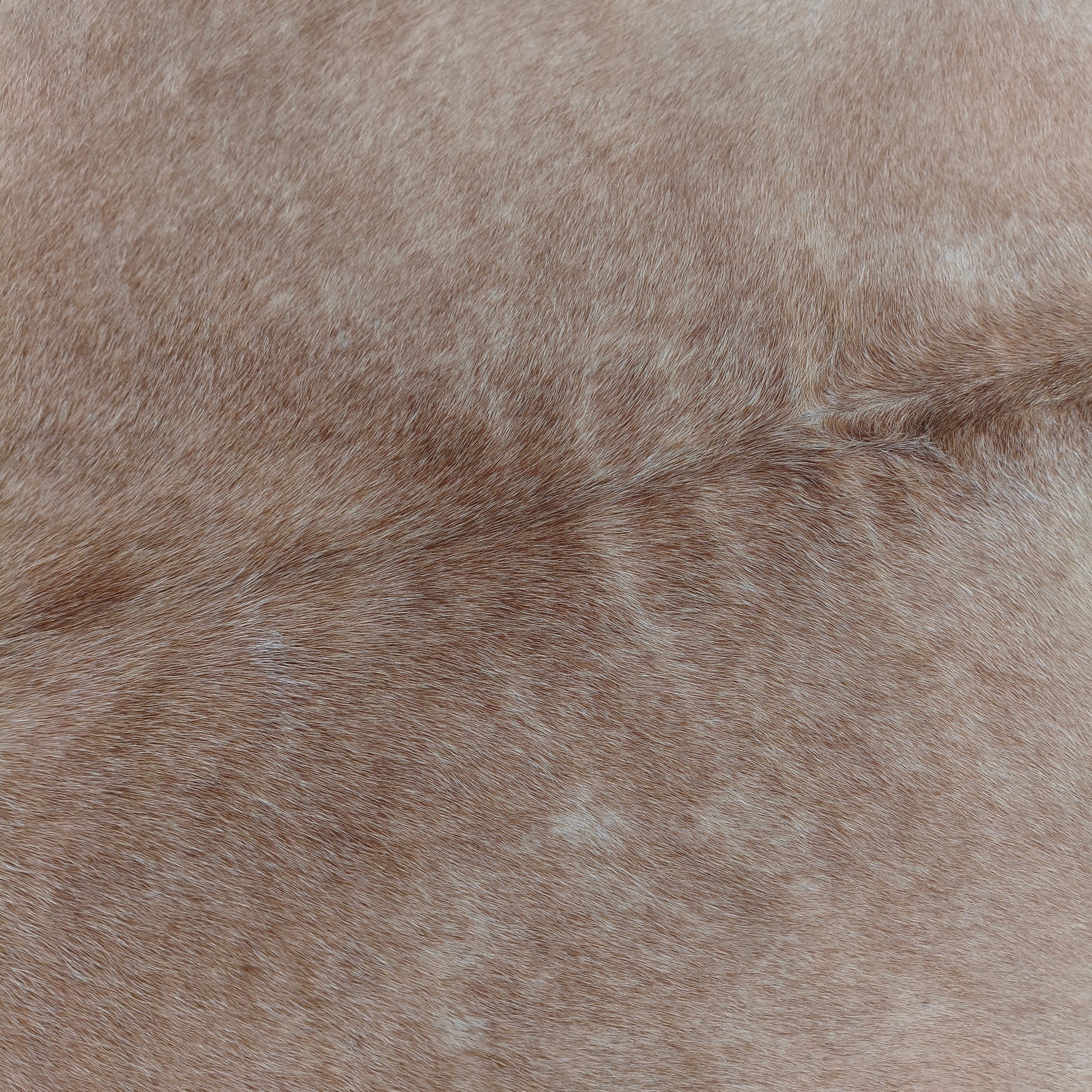 Tapete de couro de boi bege claro BC969 — foto real 2