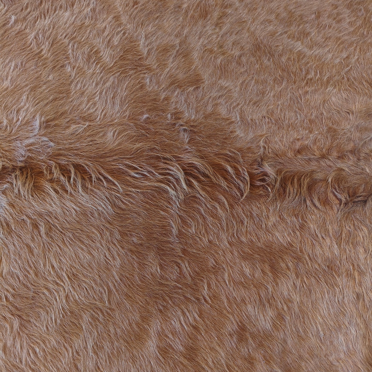 Tapete de couro de boi bege escuro pelo alto BE973 — foto real 2