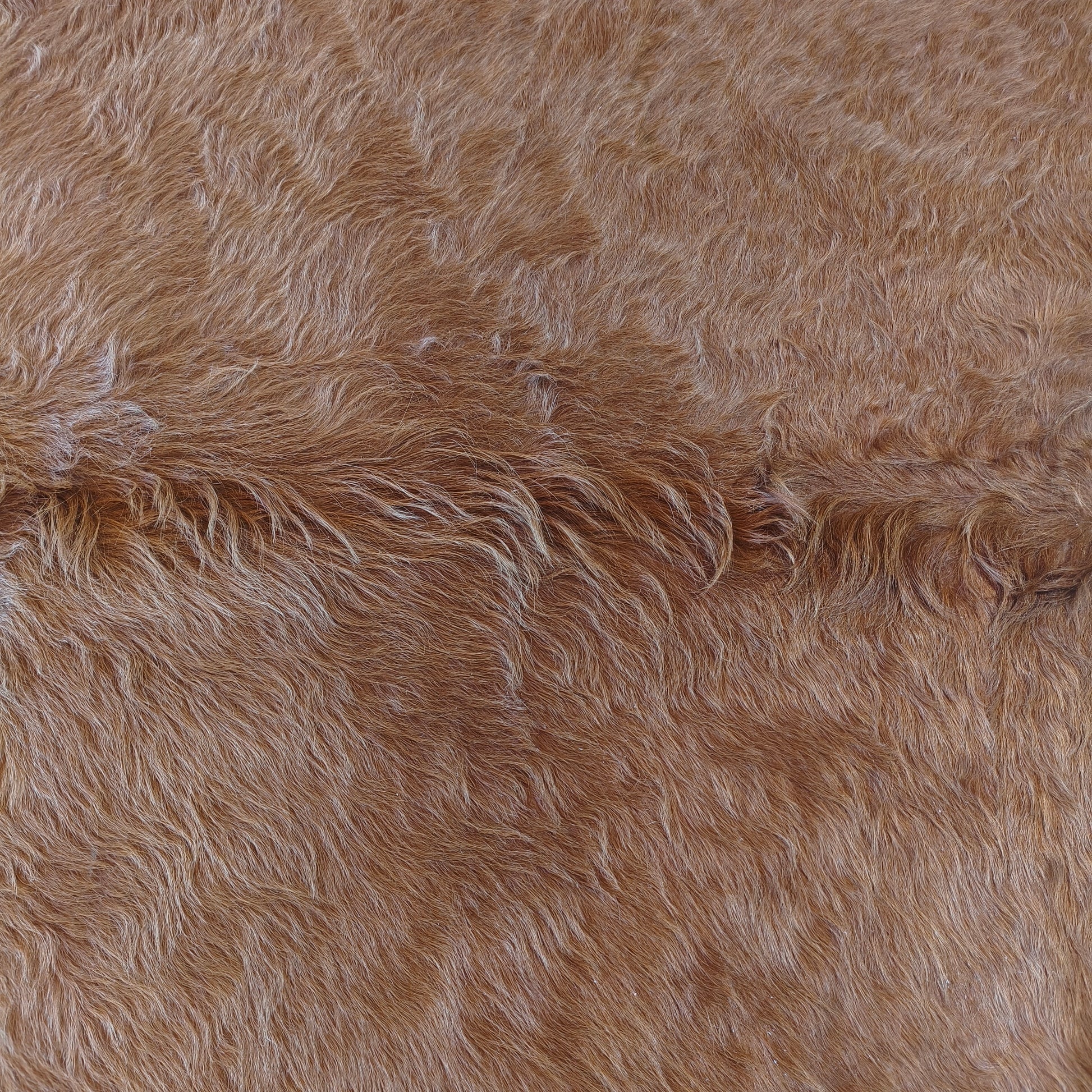 Tapete de couro de boi bege escuro pelo alto BE973 — foto real 2