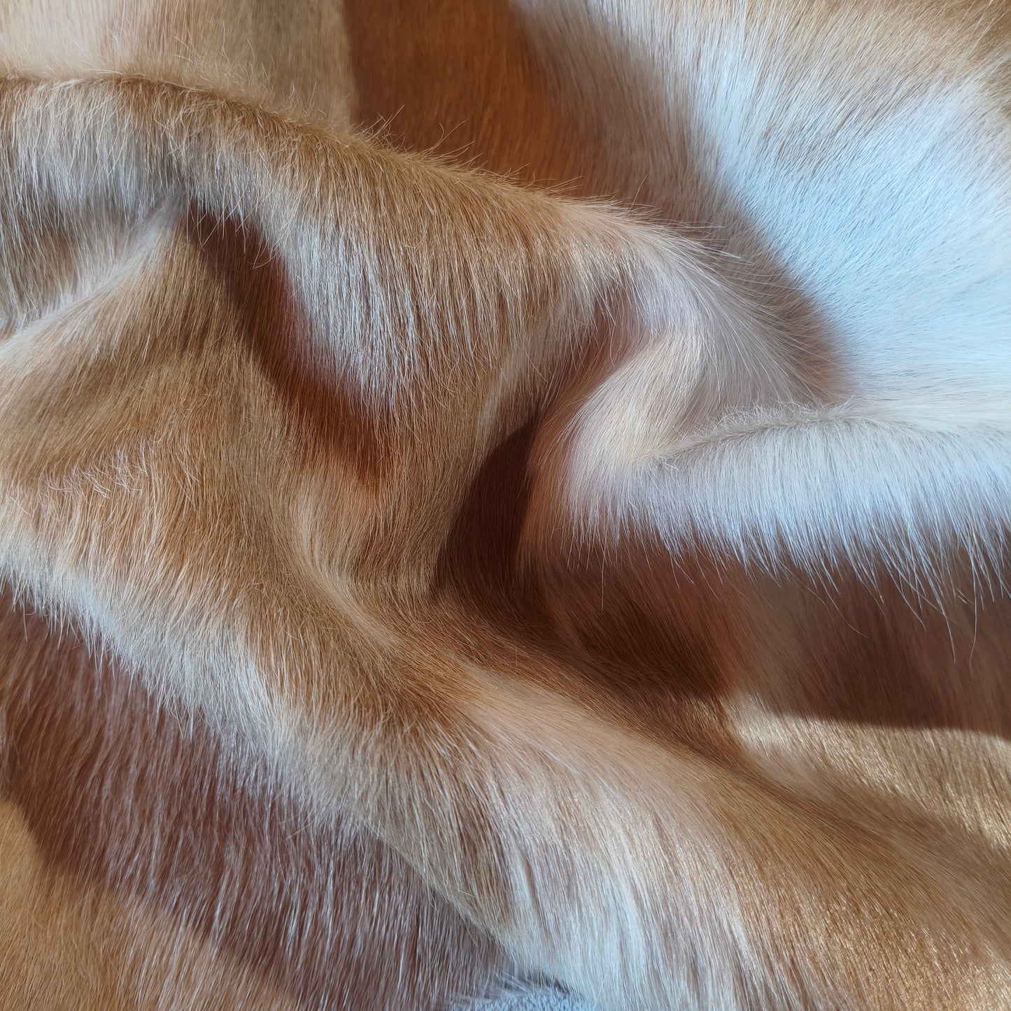 Tapete de couro de boi bege e branco brilhoso BC983 — foto real 4