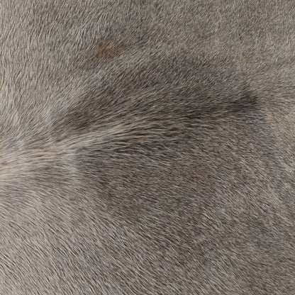 Tapete de couro de boi natural cinza e branco pelo curto macio GR1048 — foto real 2