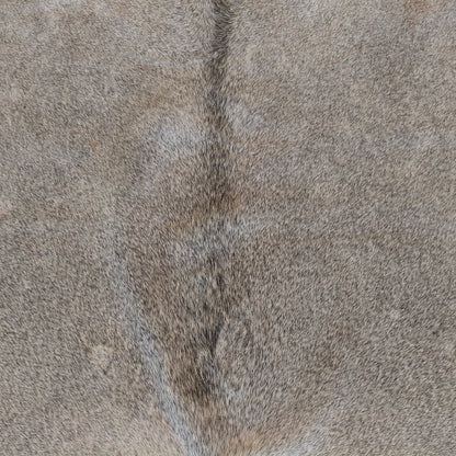 Tapete de couro de boi natural cinza pelo curto GR1059 — foto real 2