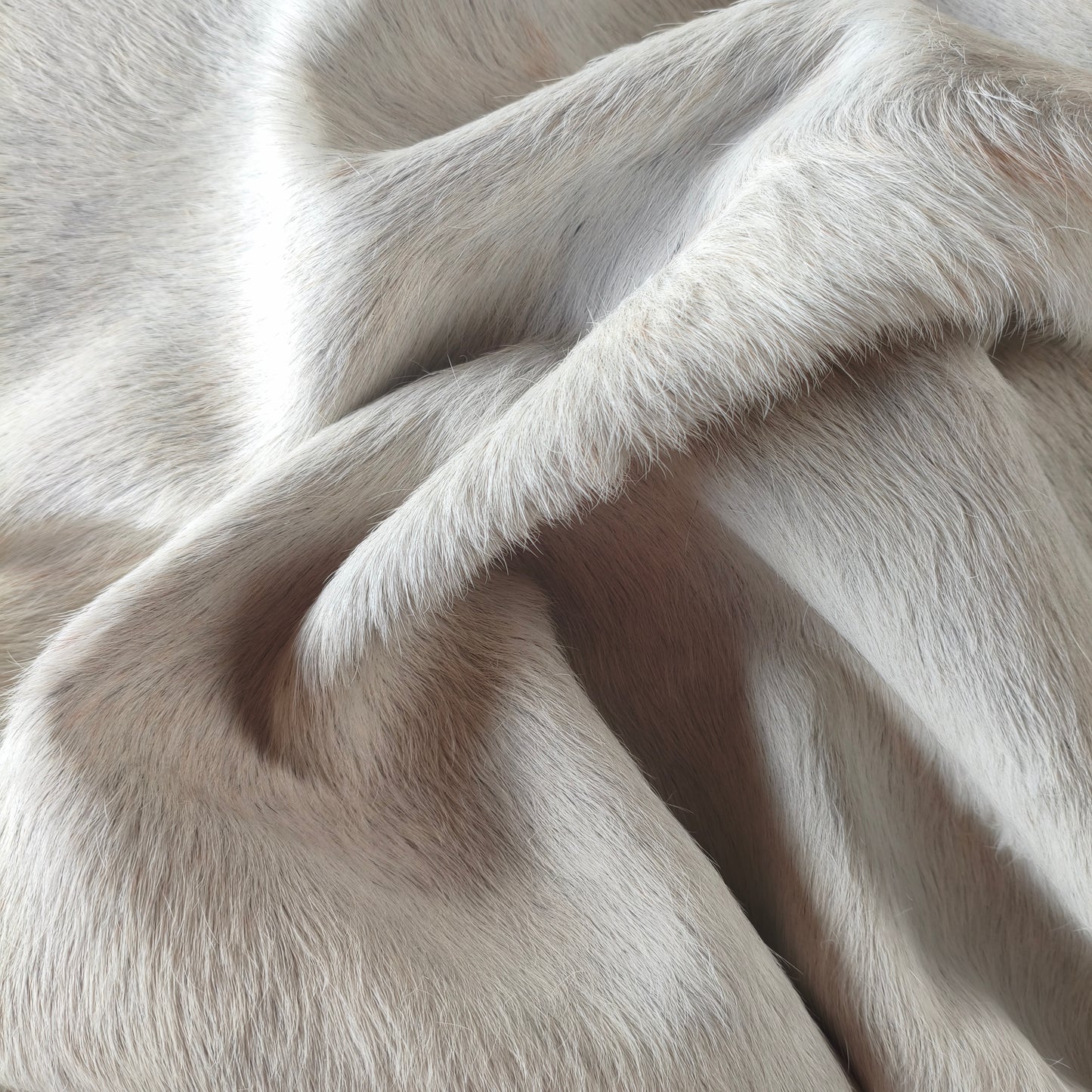 Tapete de couro de boi natural cinza e branco pelo curto macio GR1049 — foto real 4